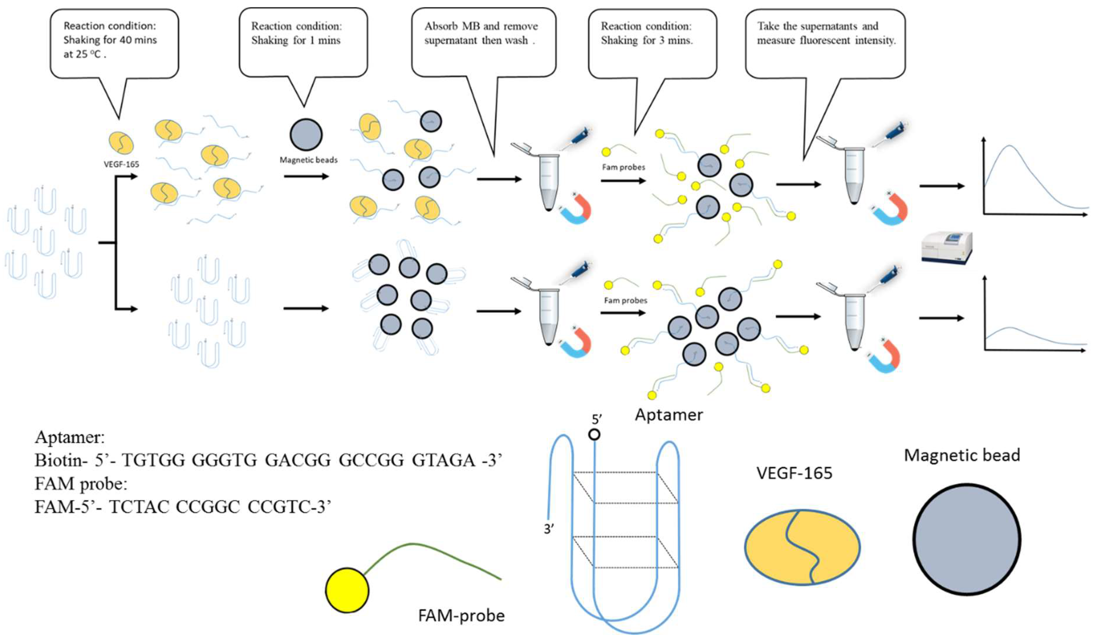 Preprints 71166 g001