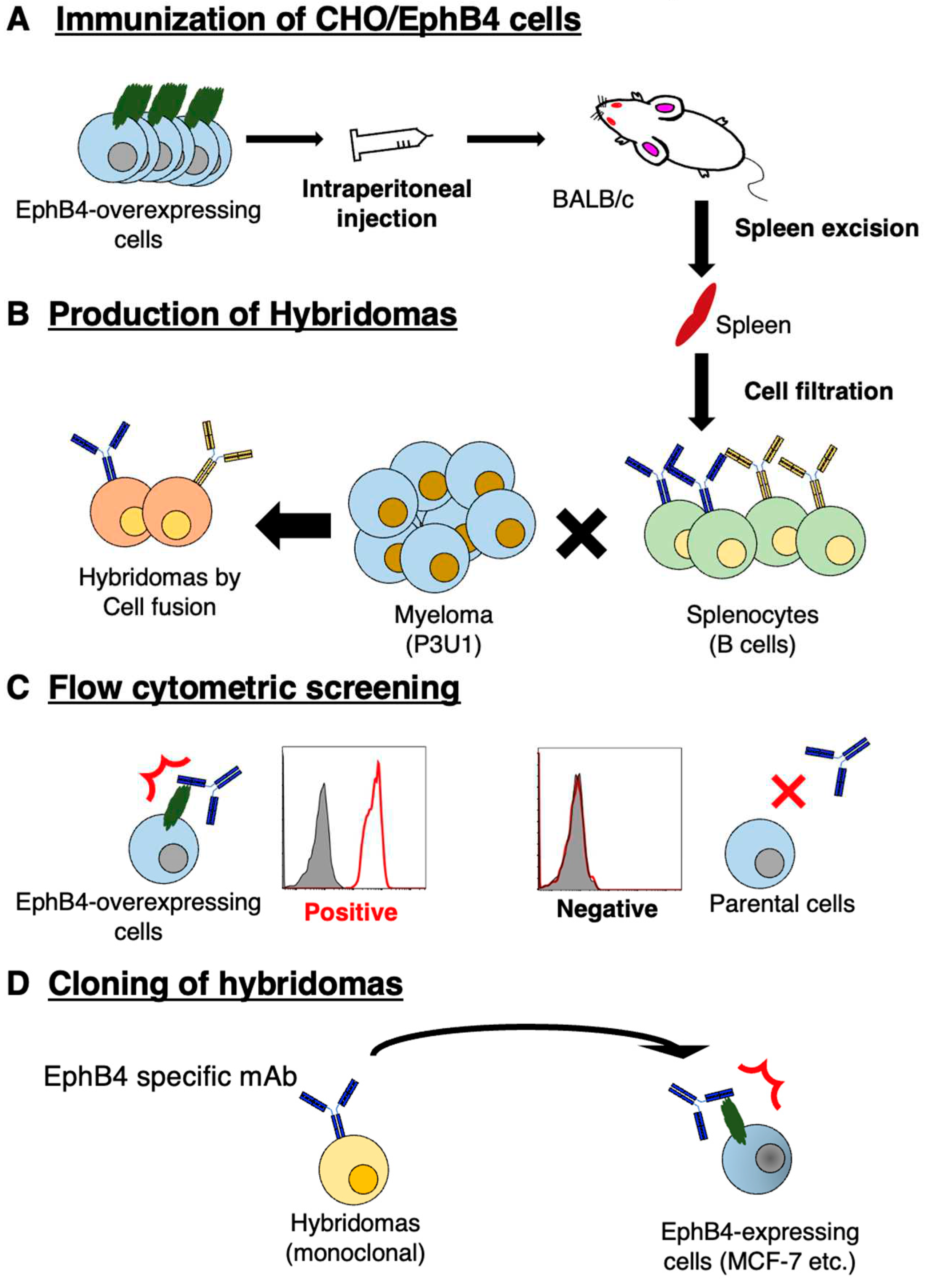 Preprints 79922 g001