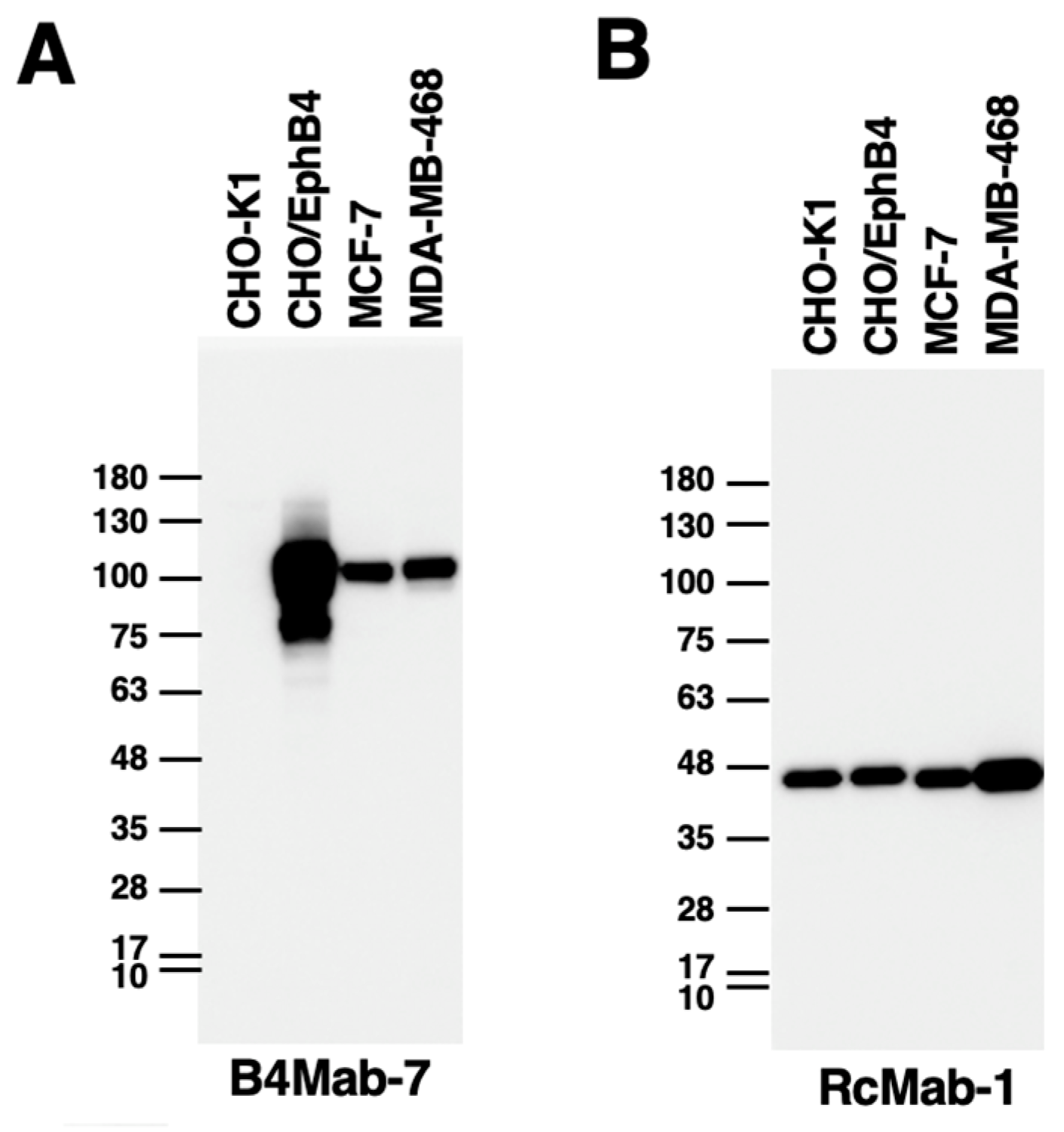 Preprints 79922 g004