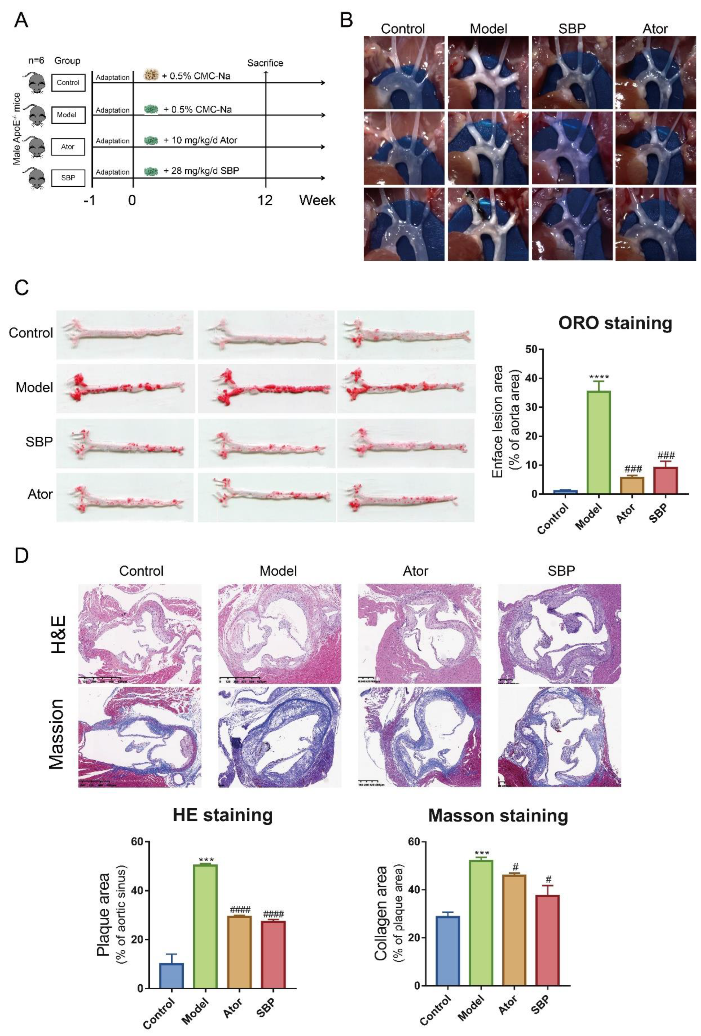 Preprints 78838 g001