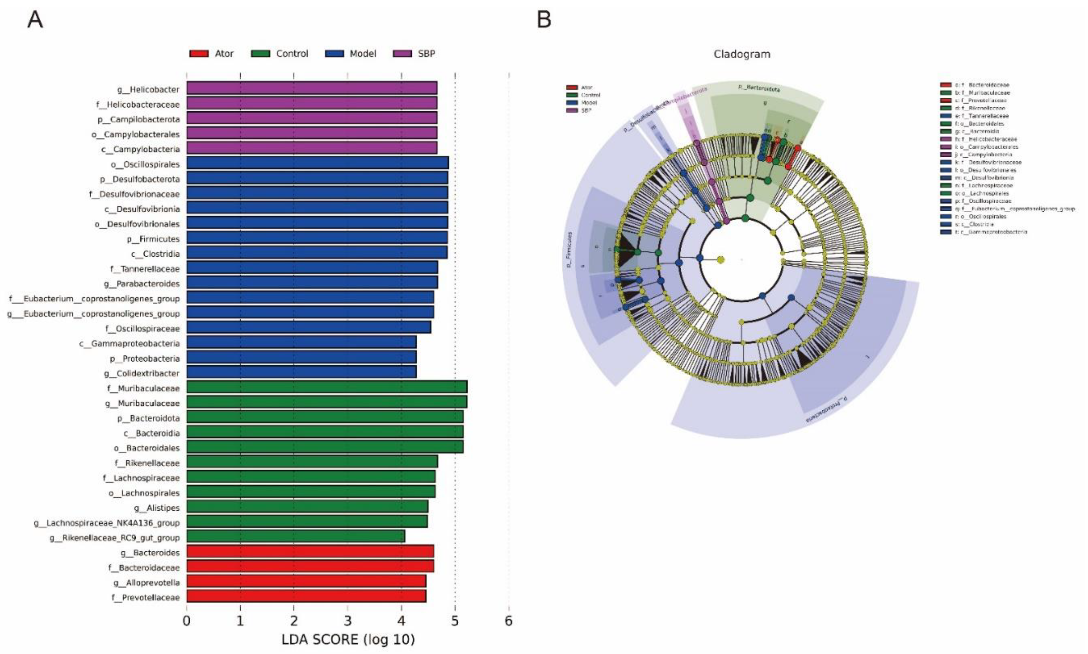 Preprints 78838 g004