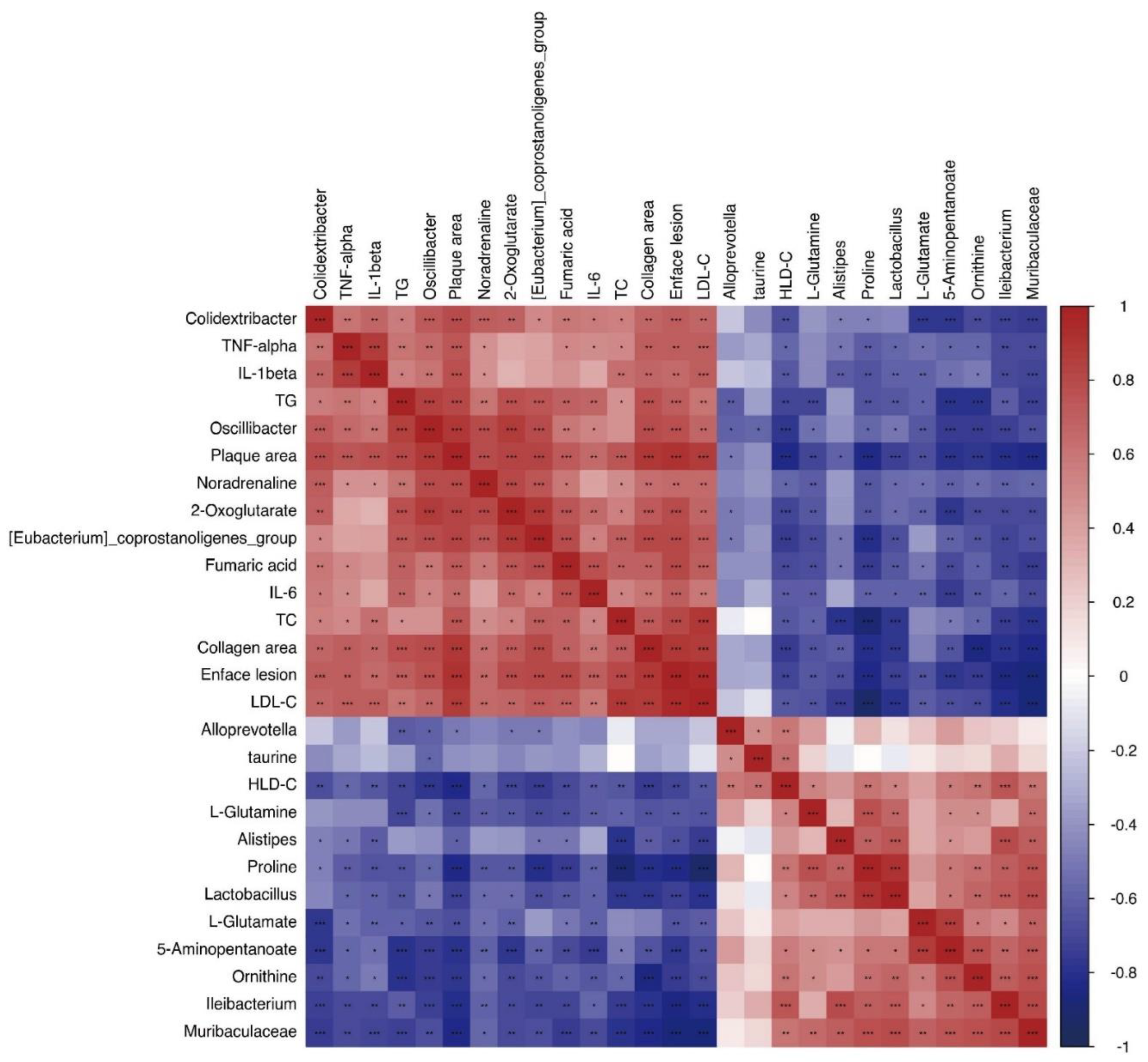 Preprints 78838 g008