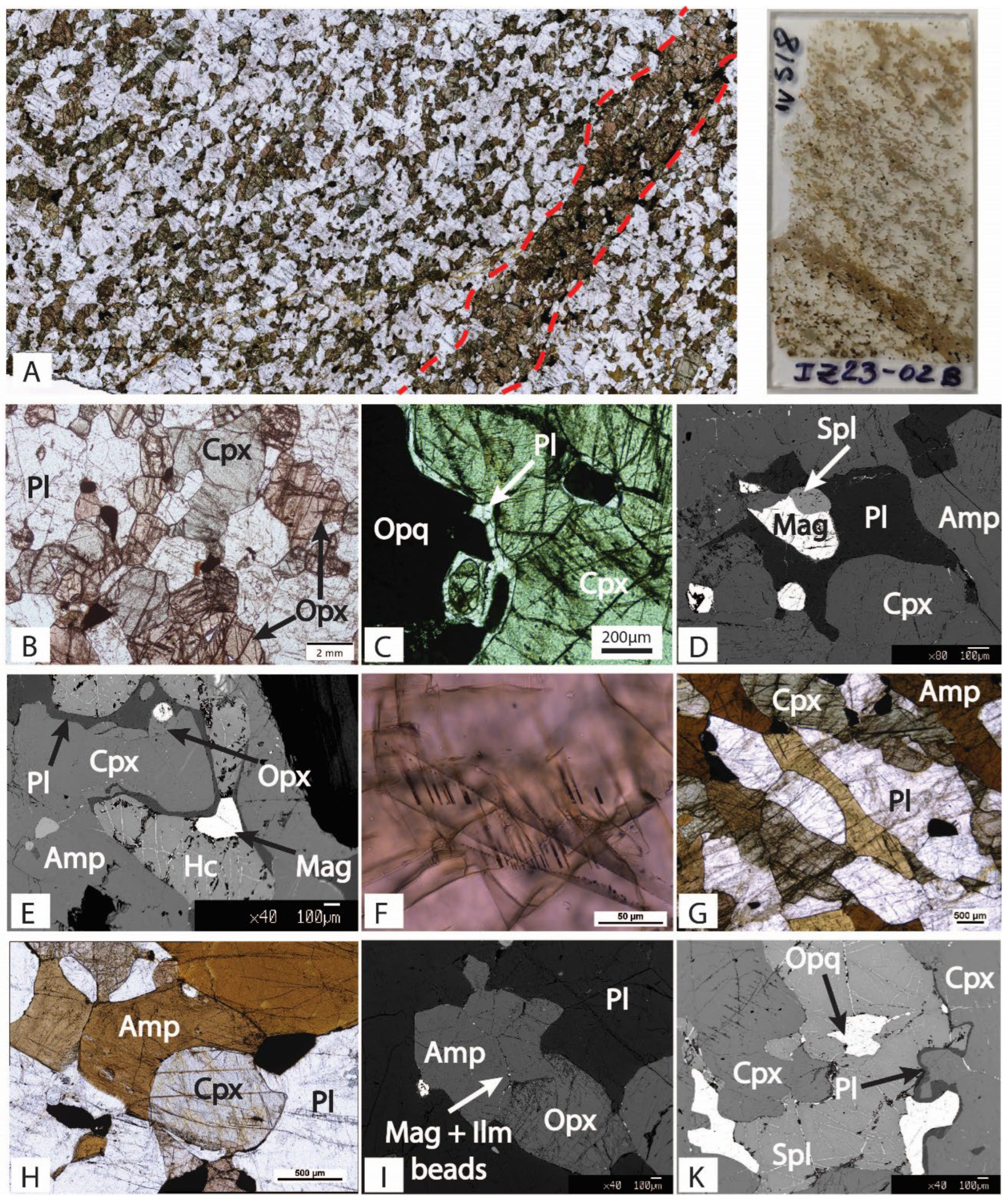 Preprints 111527 g007