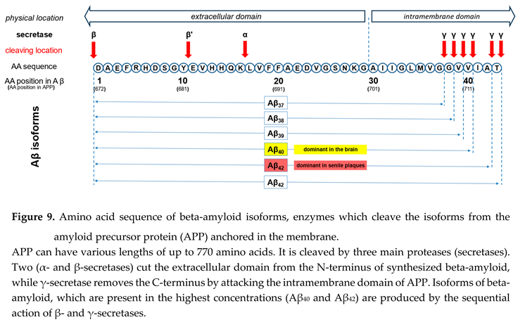 Preprints 91650 i013