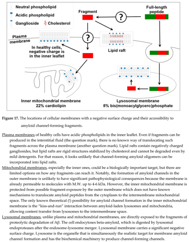 Preprints 91650 i025