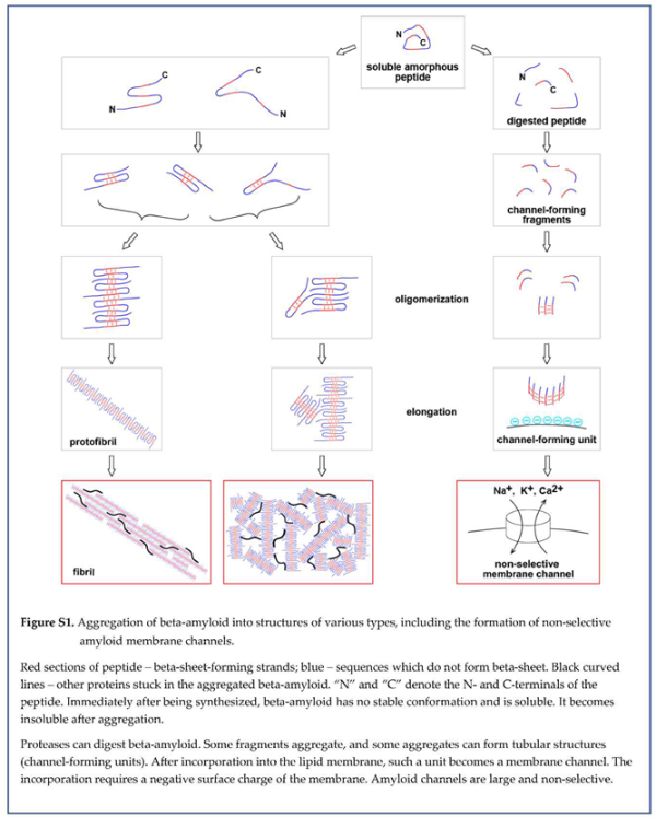 Preprints 91650 i029