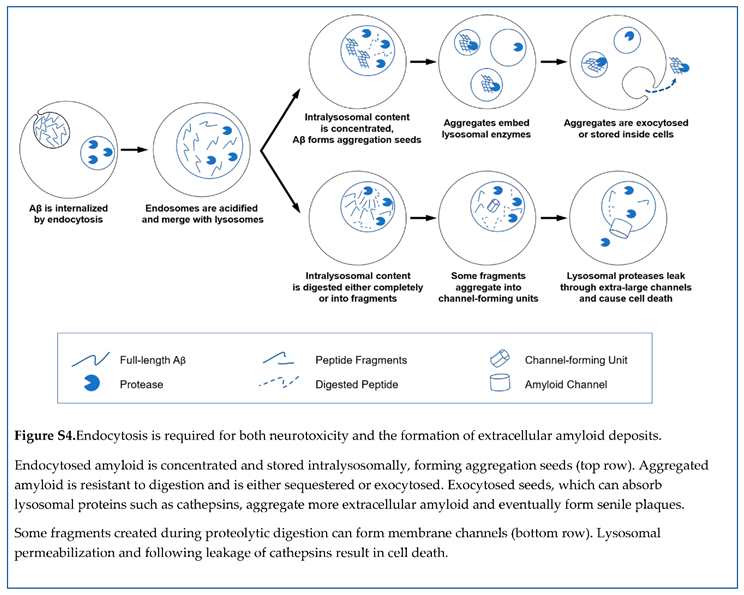 Preprints 91650 i032