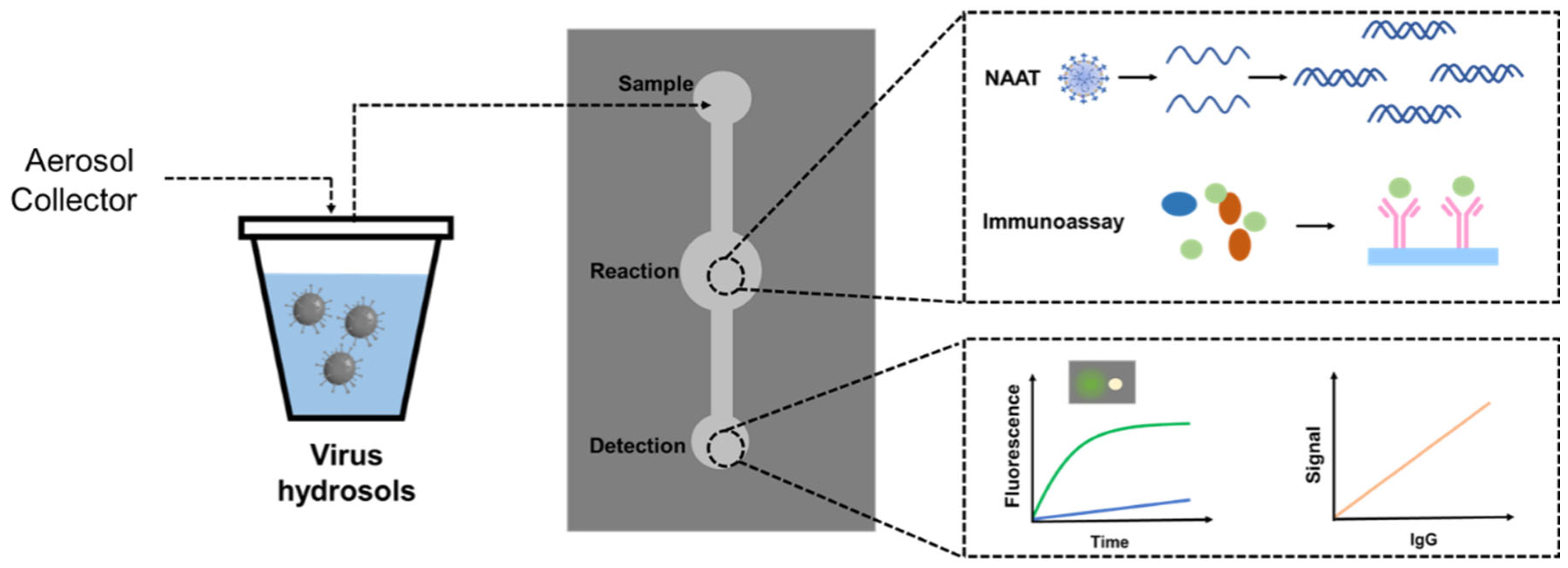 Preprints 68611 g004