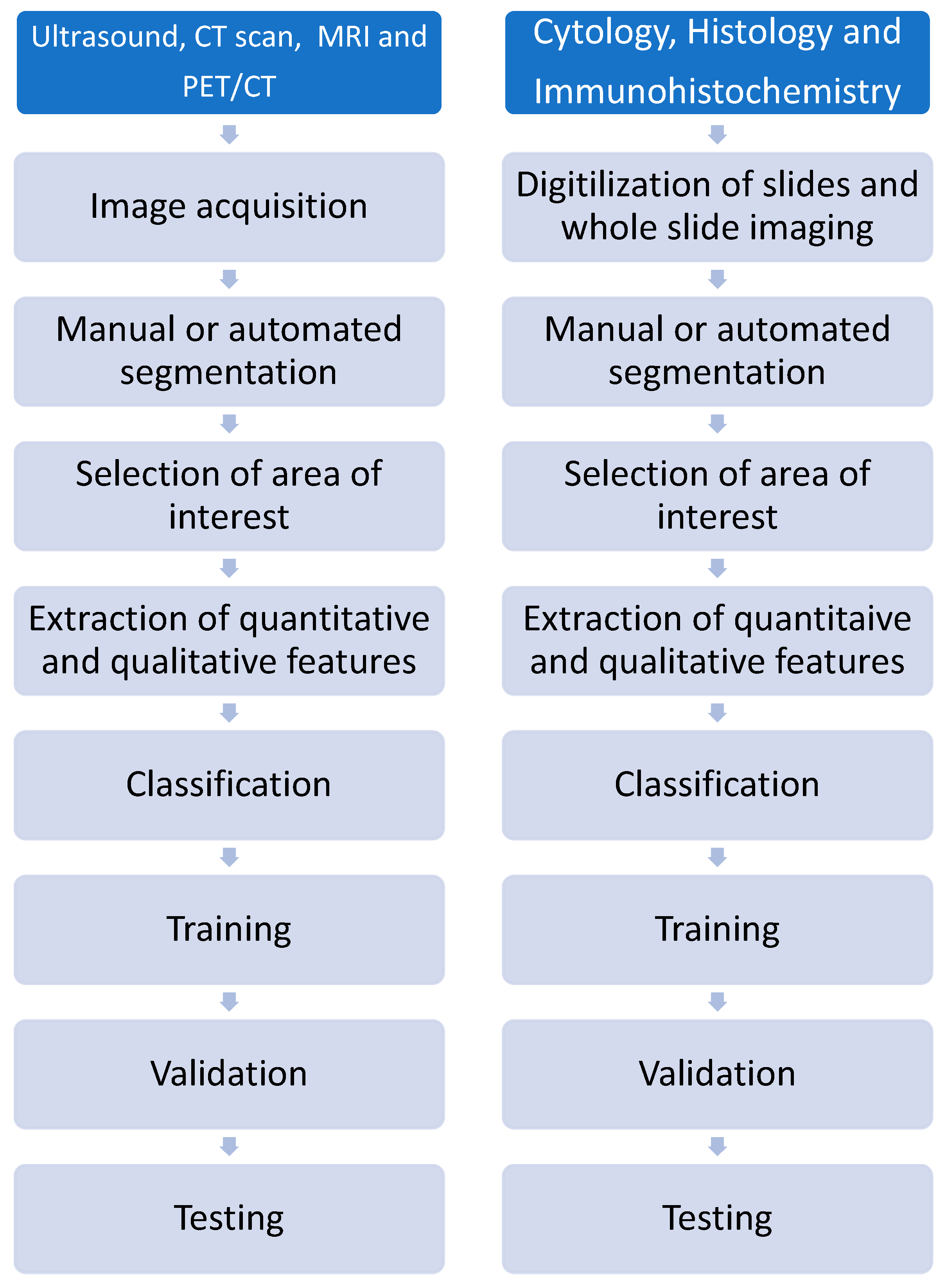 Preprints 117105 g003