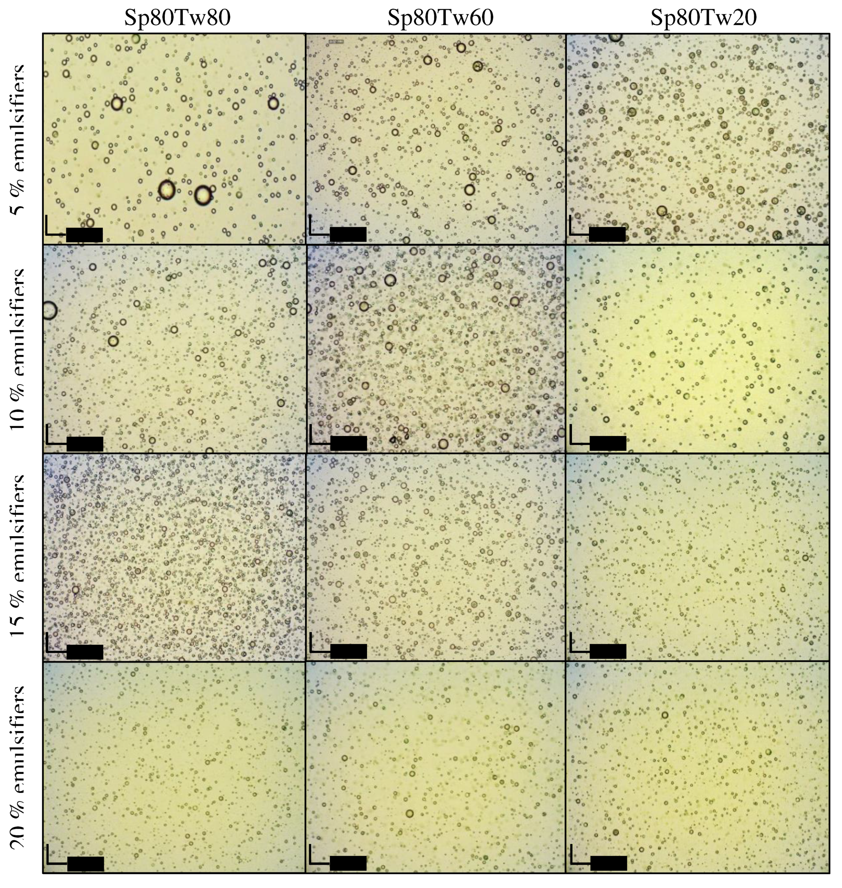 Preprints 94717 g005