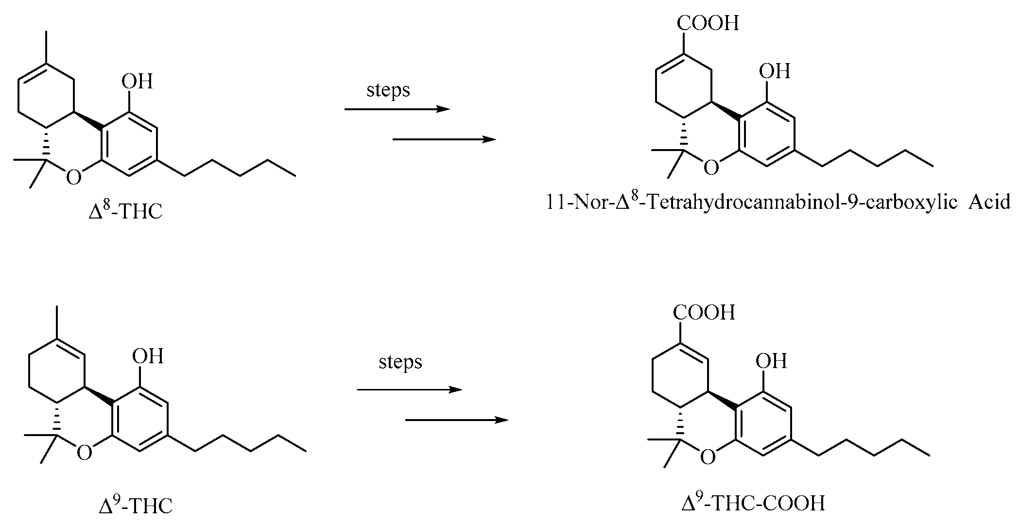 Preprints 93828 sch002