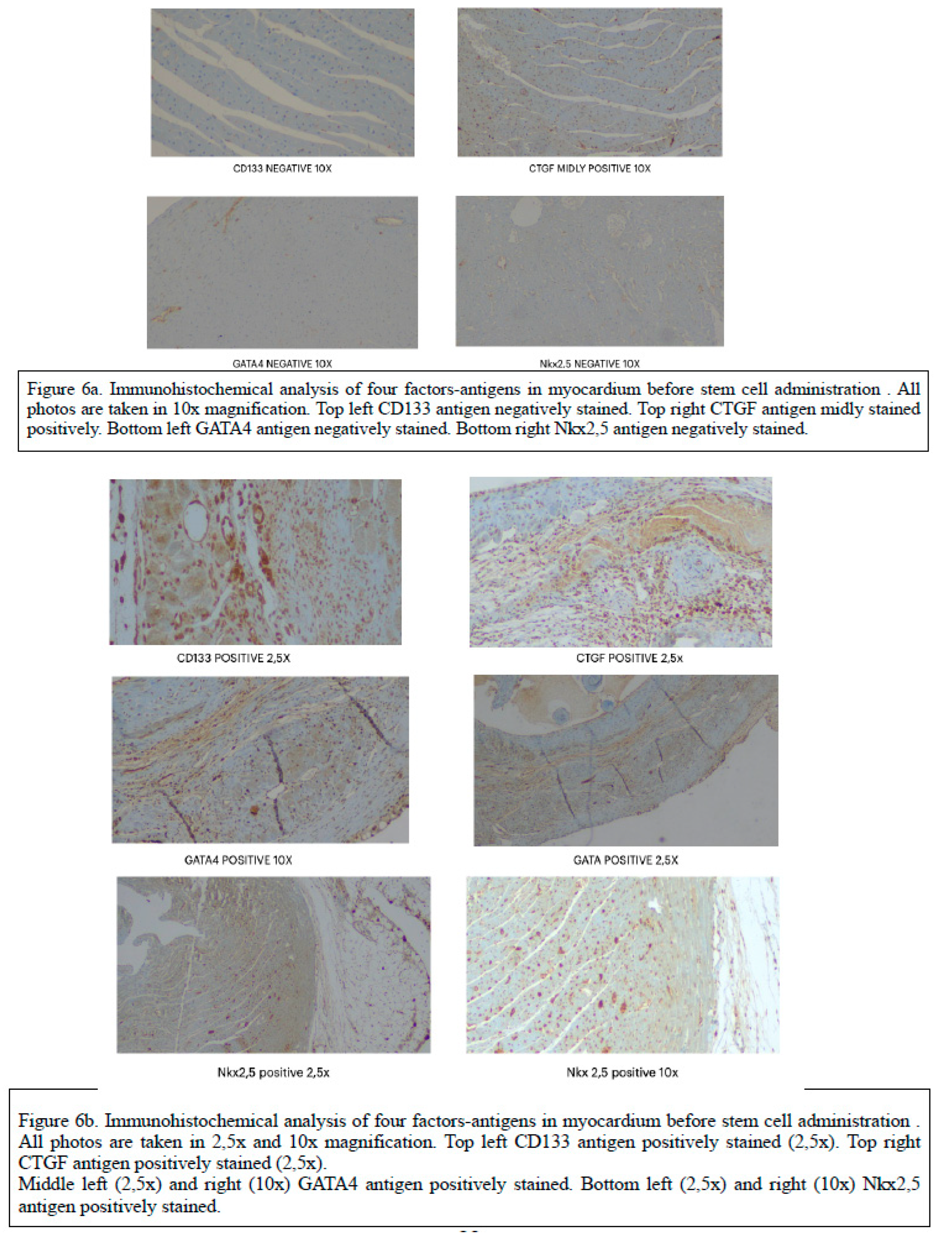 Preprints 93964 g006