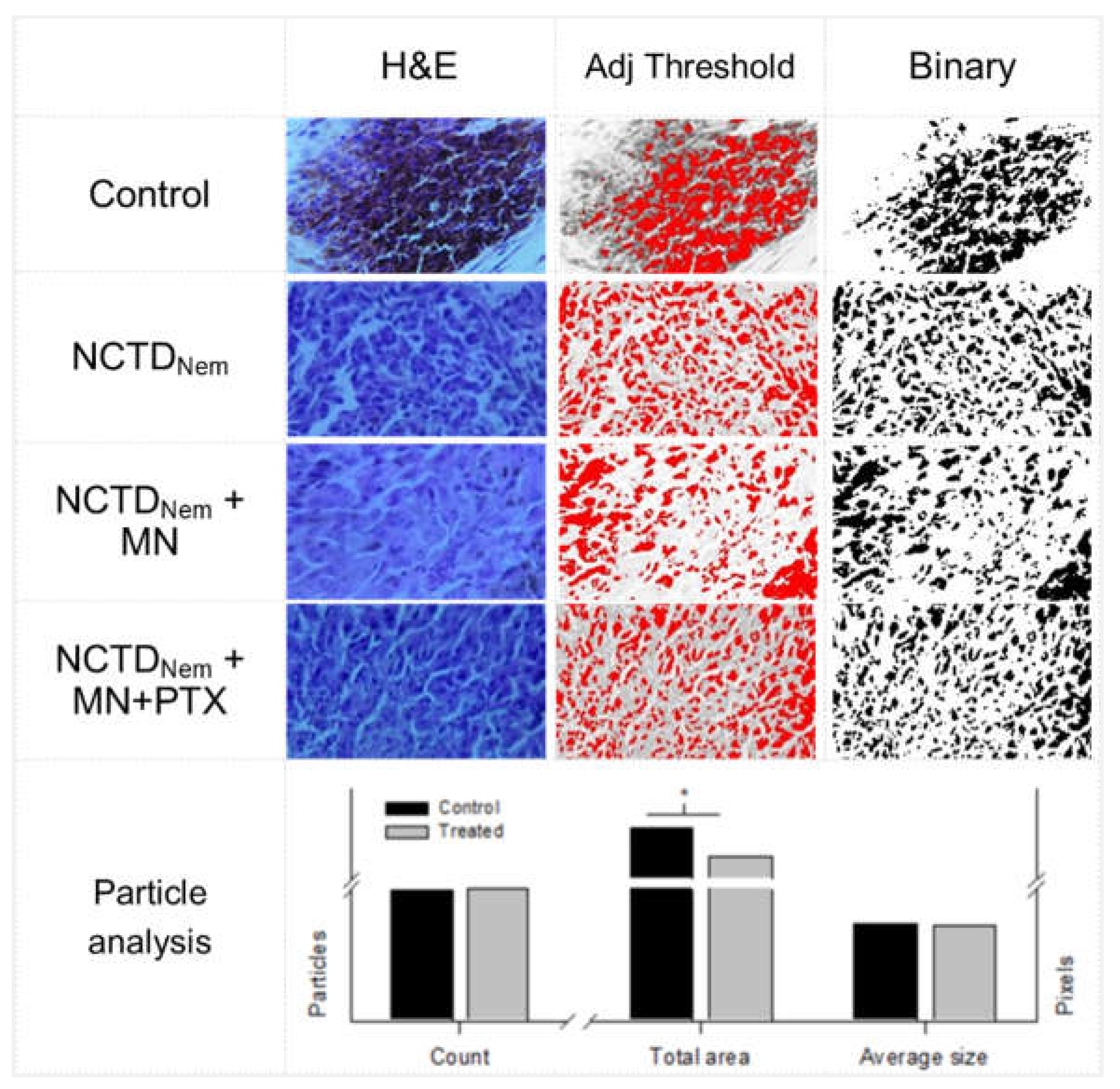 Preprints 111854 g005