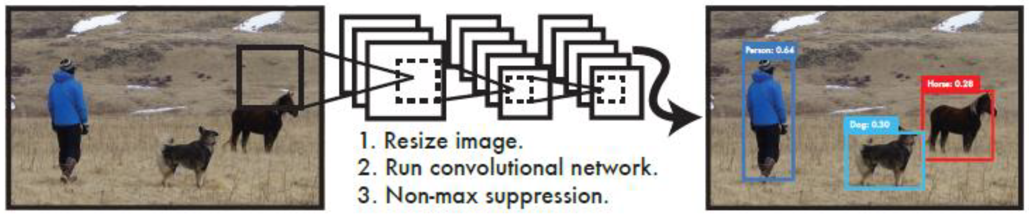 Preprints 116982 g003