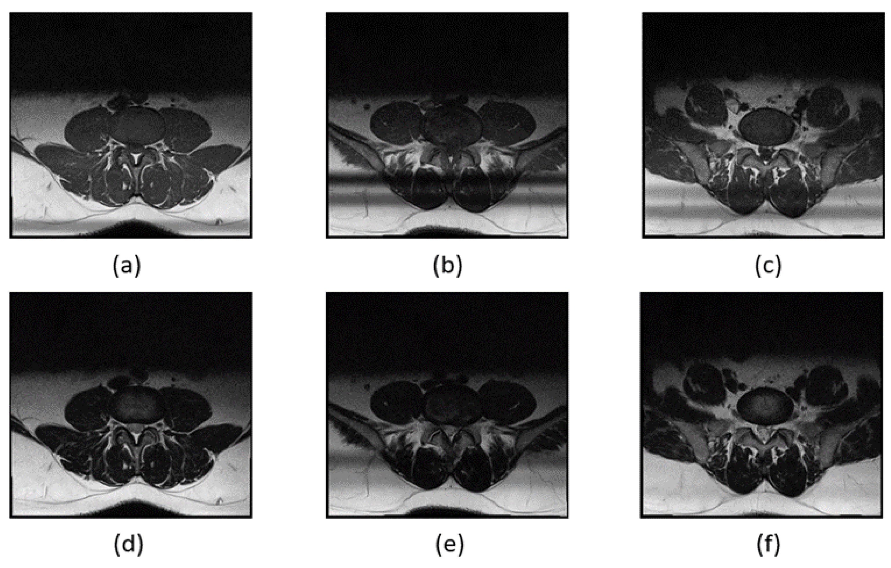 Preprints 116982 g008