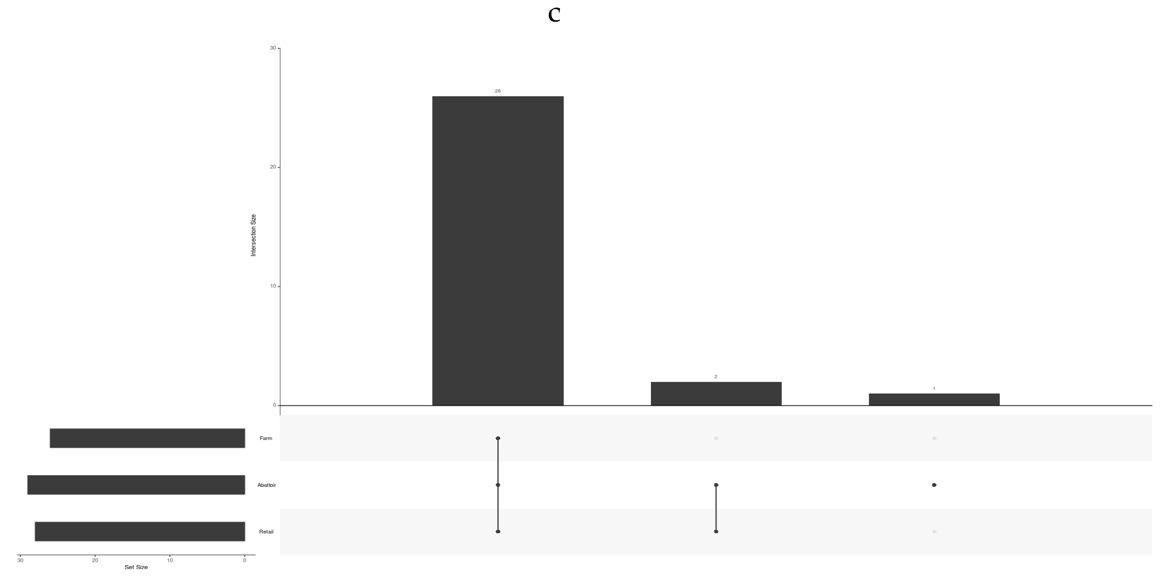 Preprints 102574 g006