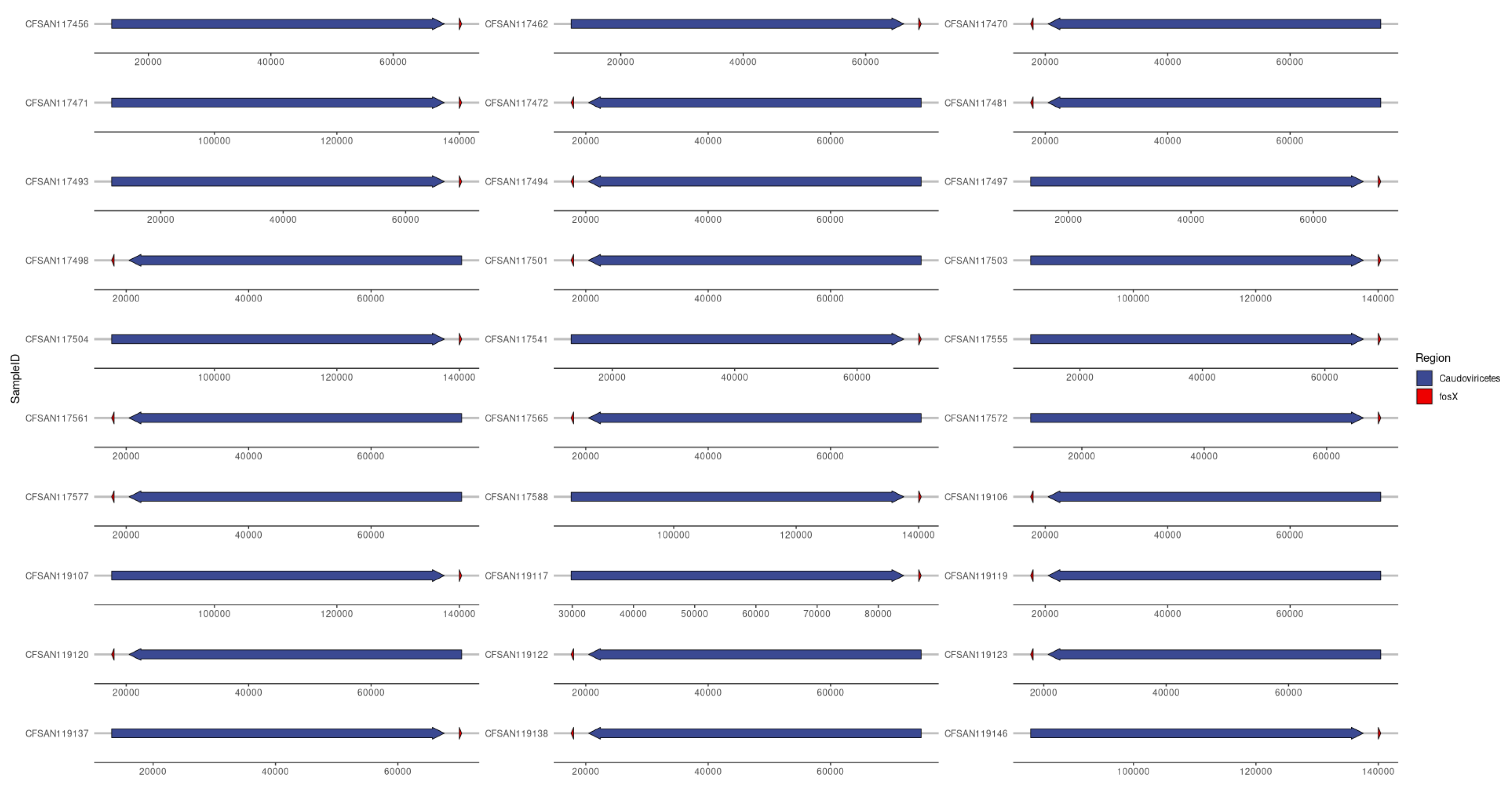 Preprints 102574 g009