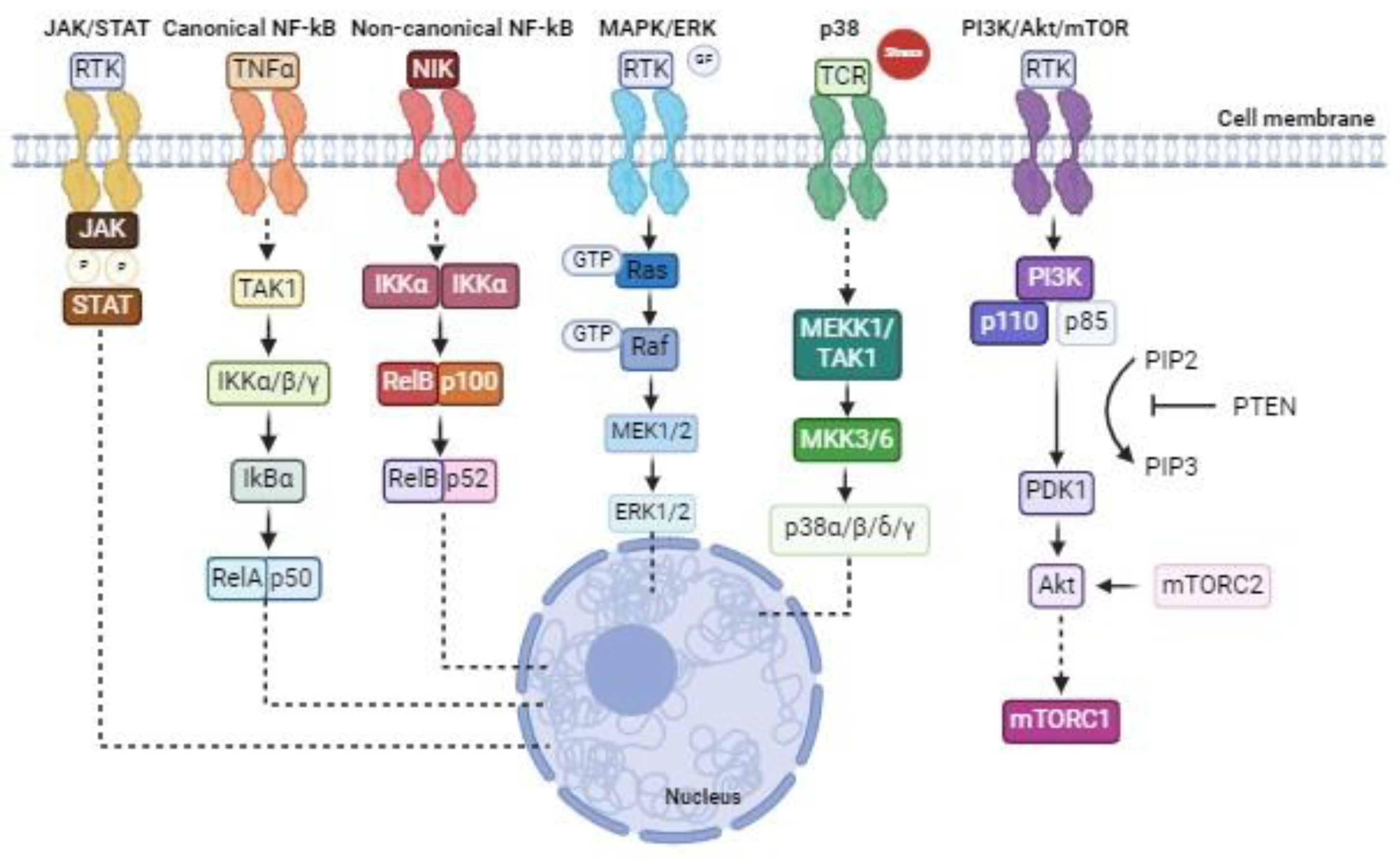 Preprints 107923 g001