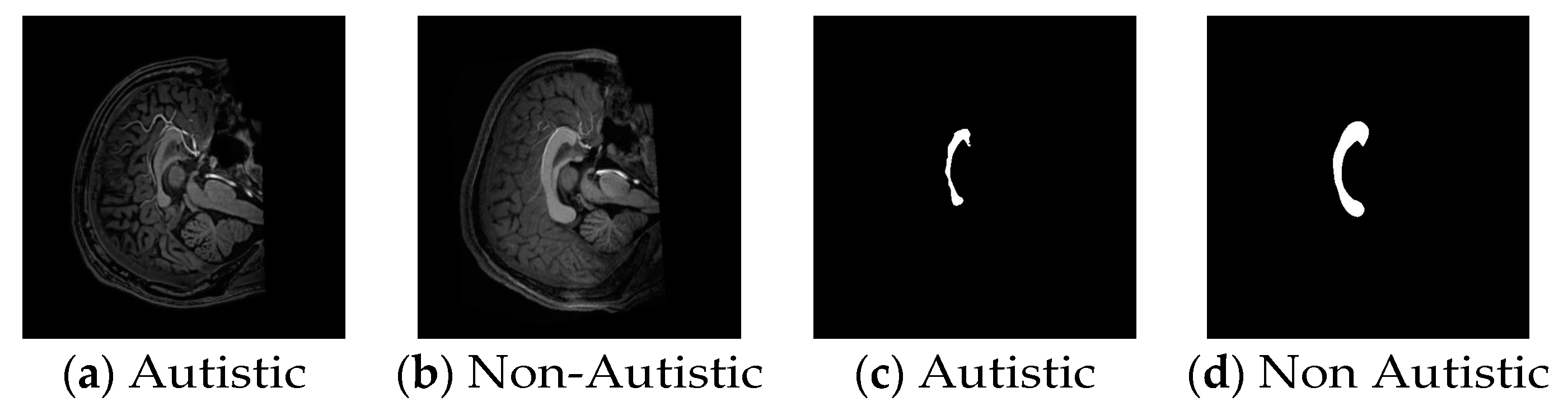 Preprints 85344 g001