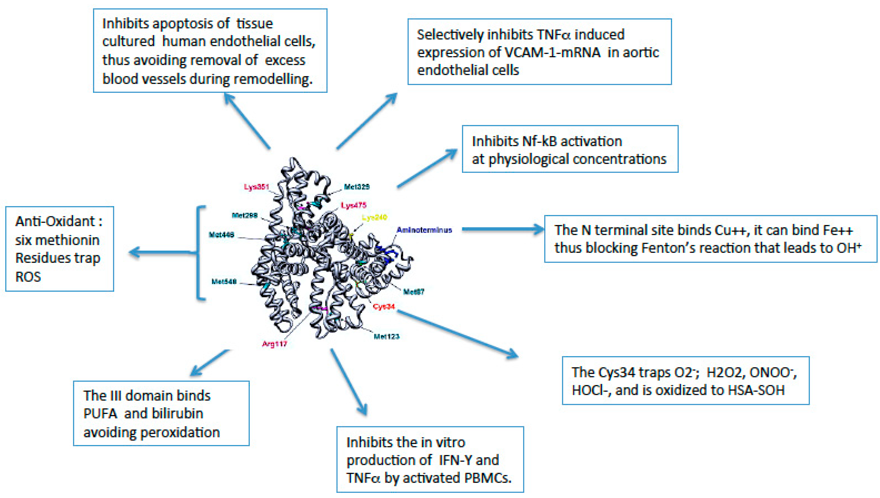 Preprints 83060 g001