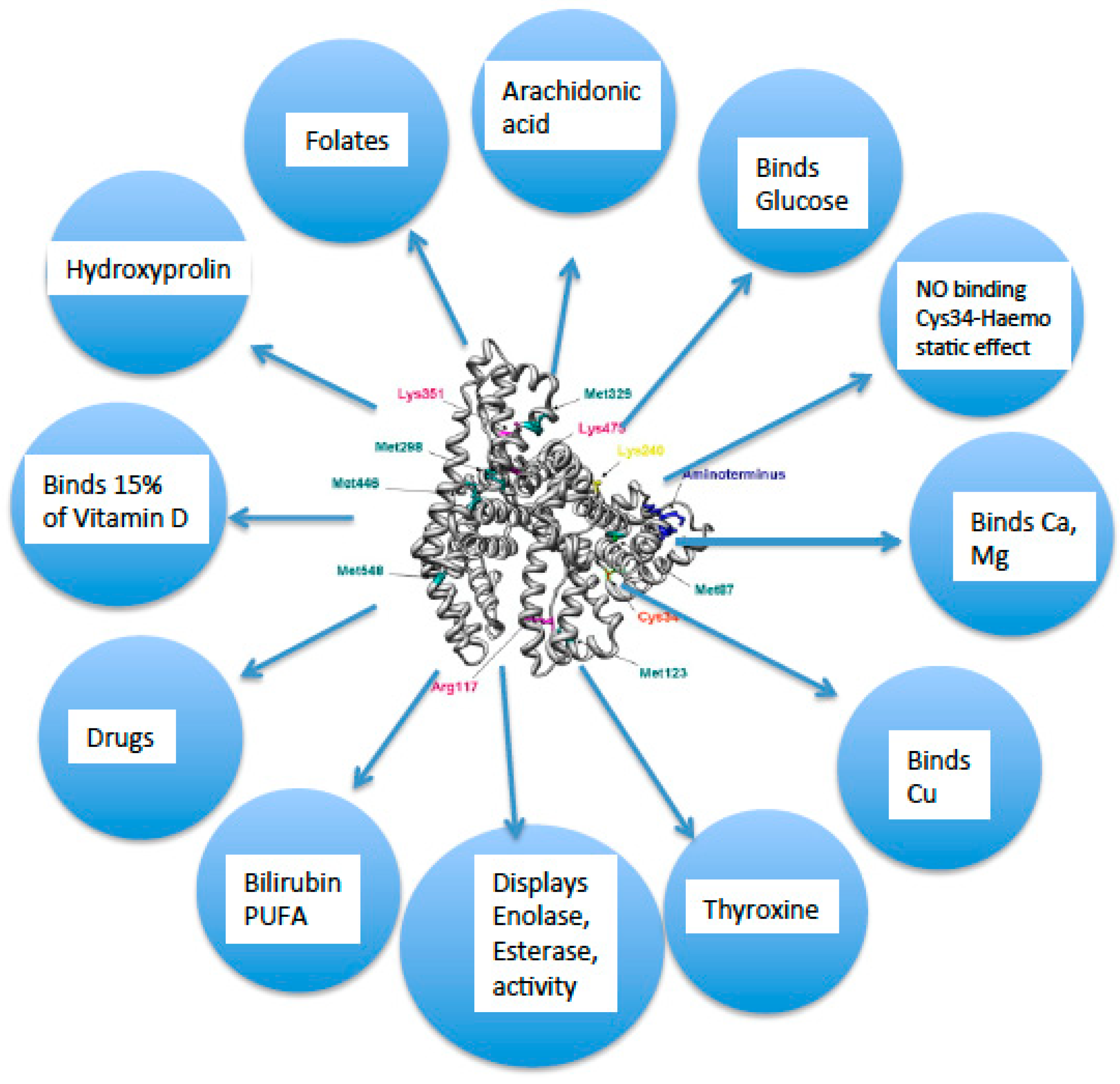 Preprints 83060 g002