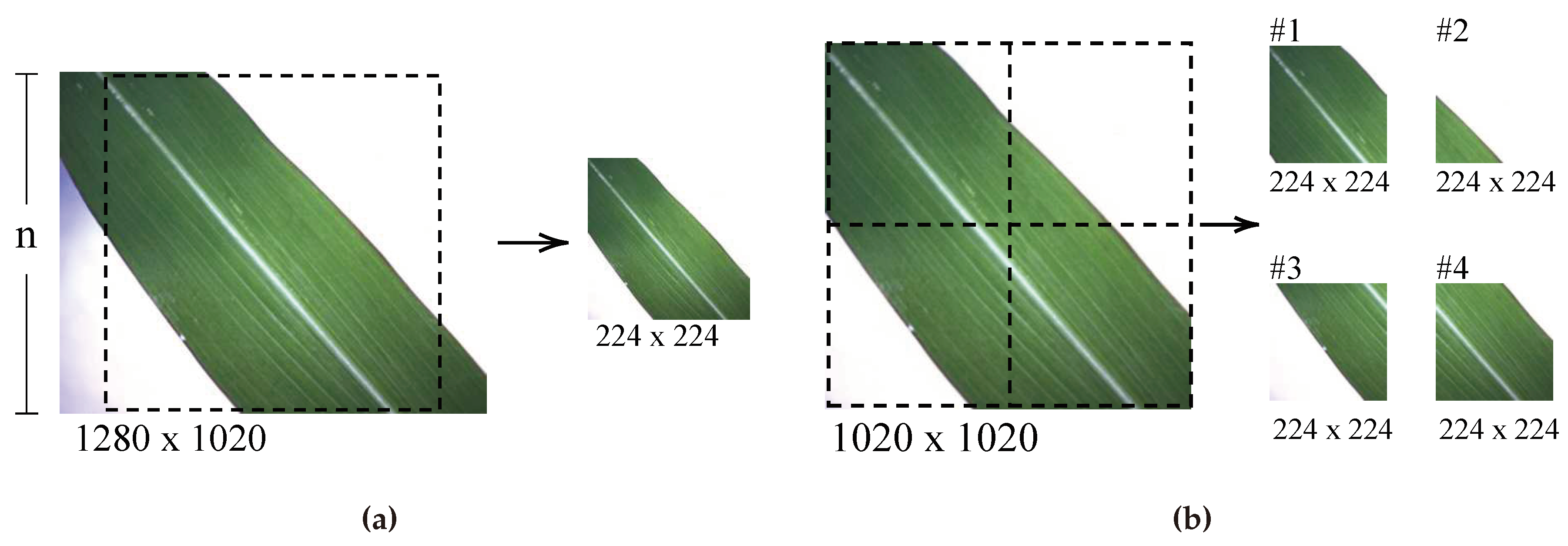 Preprints 89200 g005