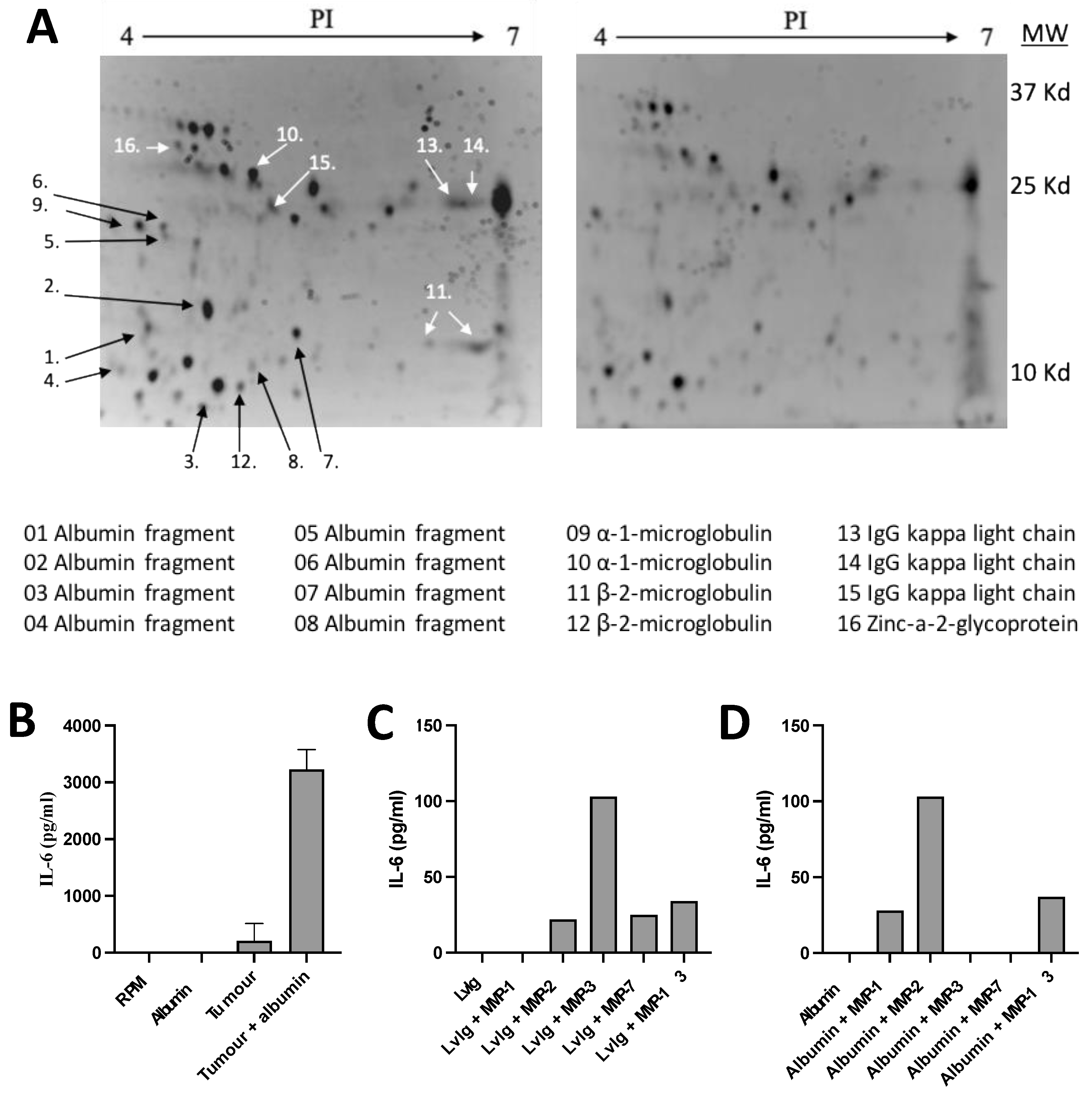 Preprints 115607 g001