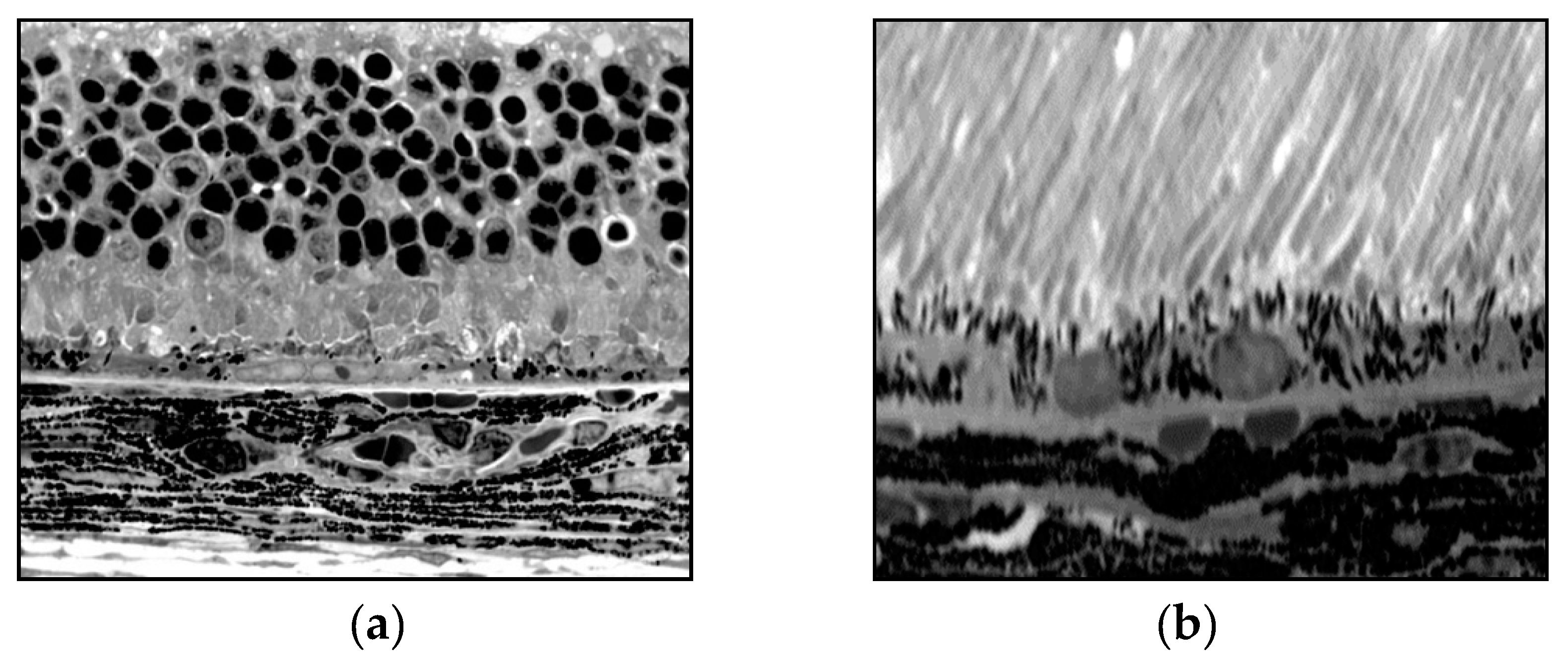 Preprints 79747 g004