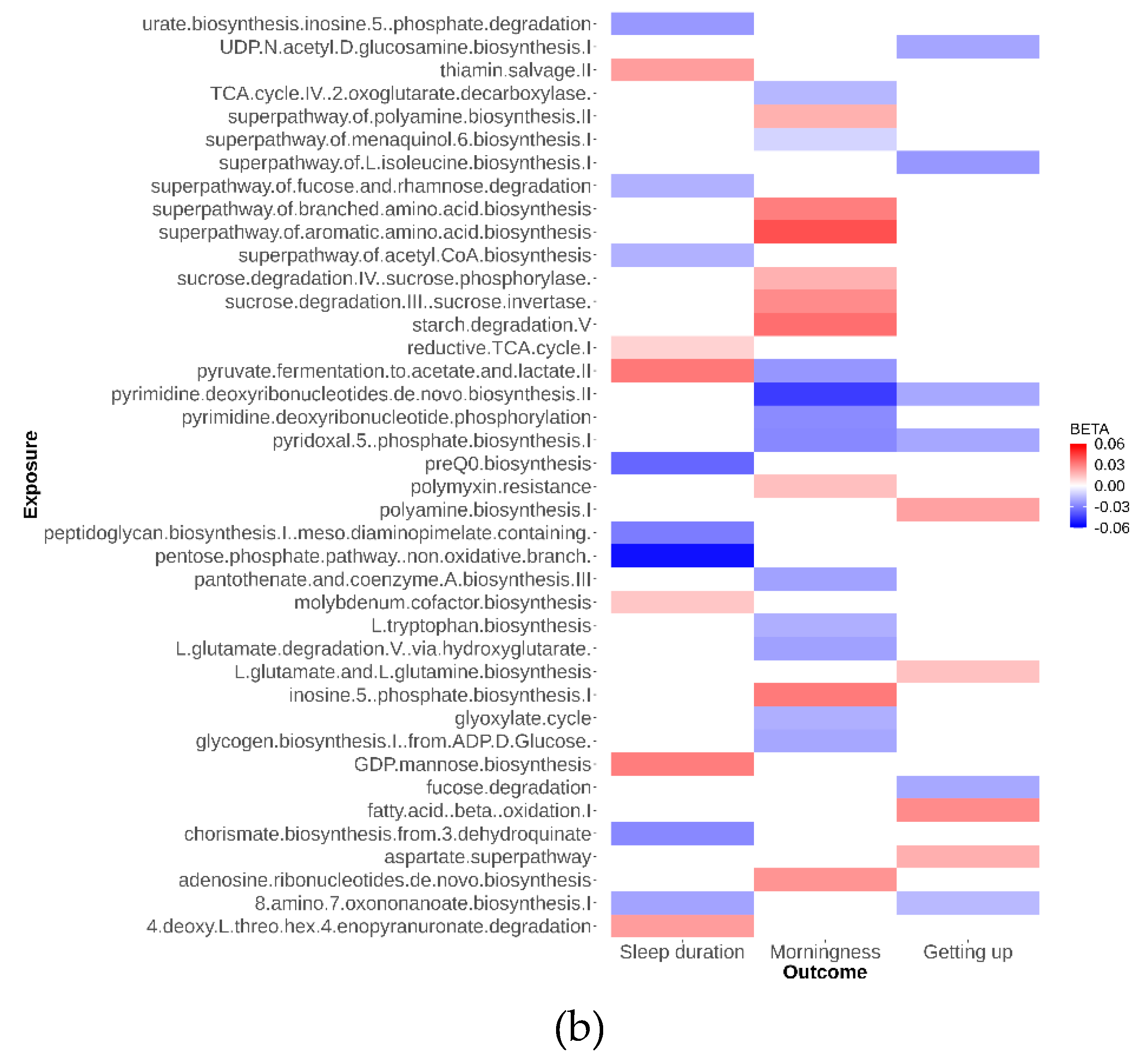 Preprints 99970 g002b