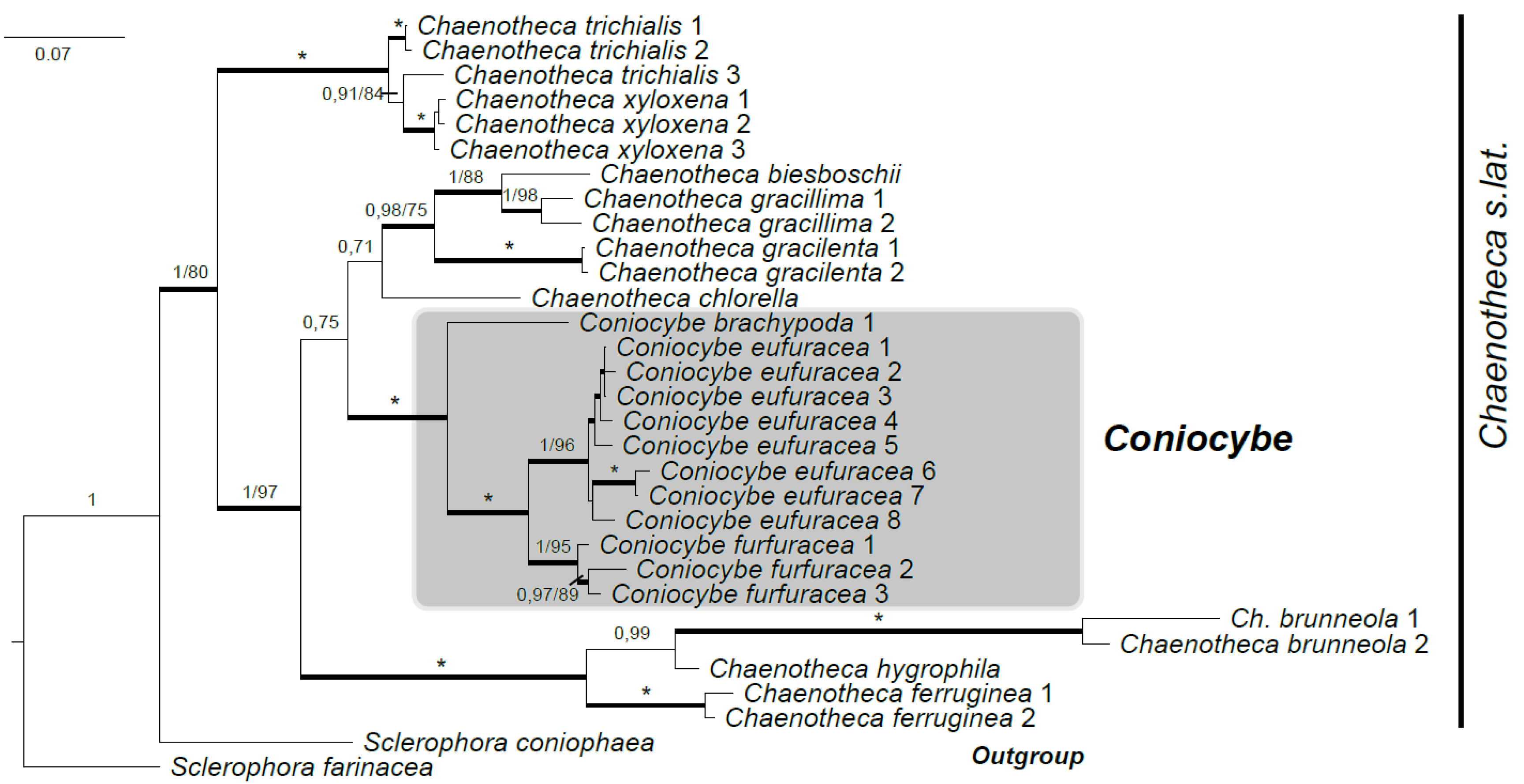 Preprints 102373 g001