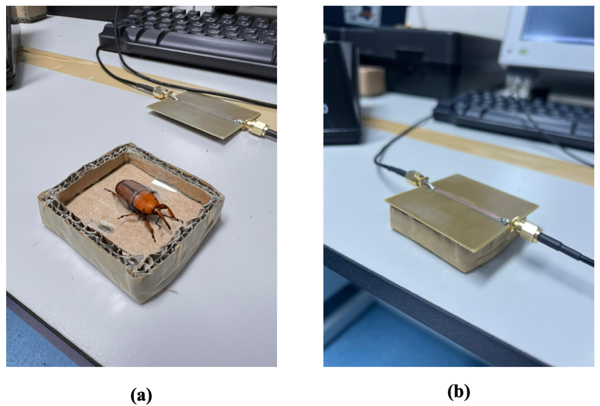 Preprints 77254 g009