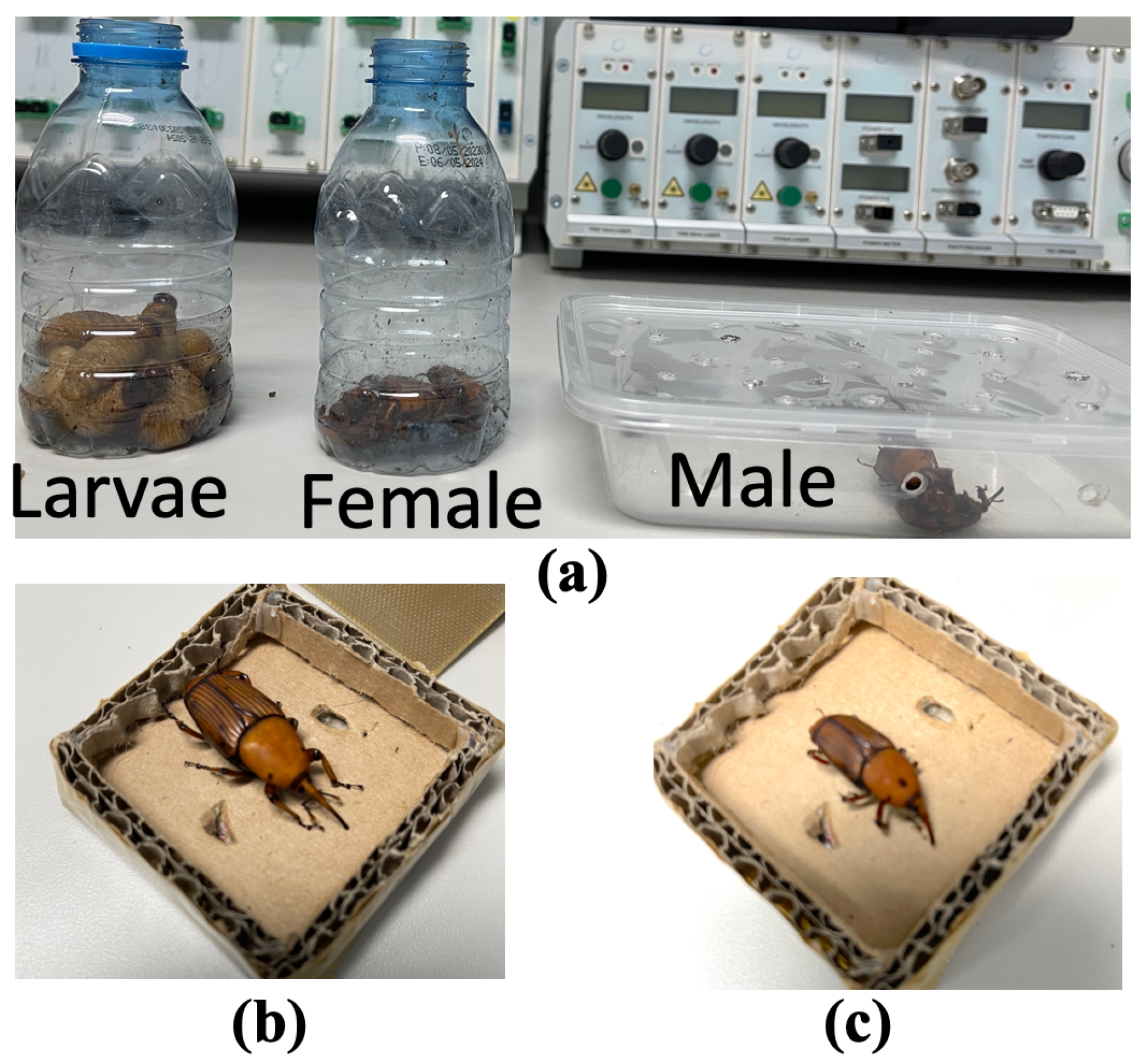 Preprints 77254 g010