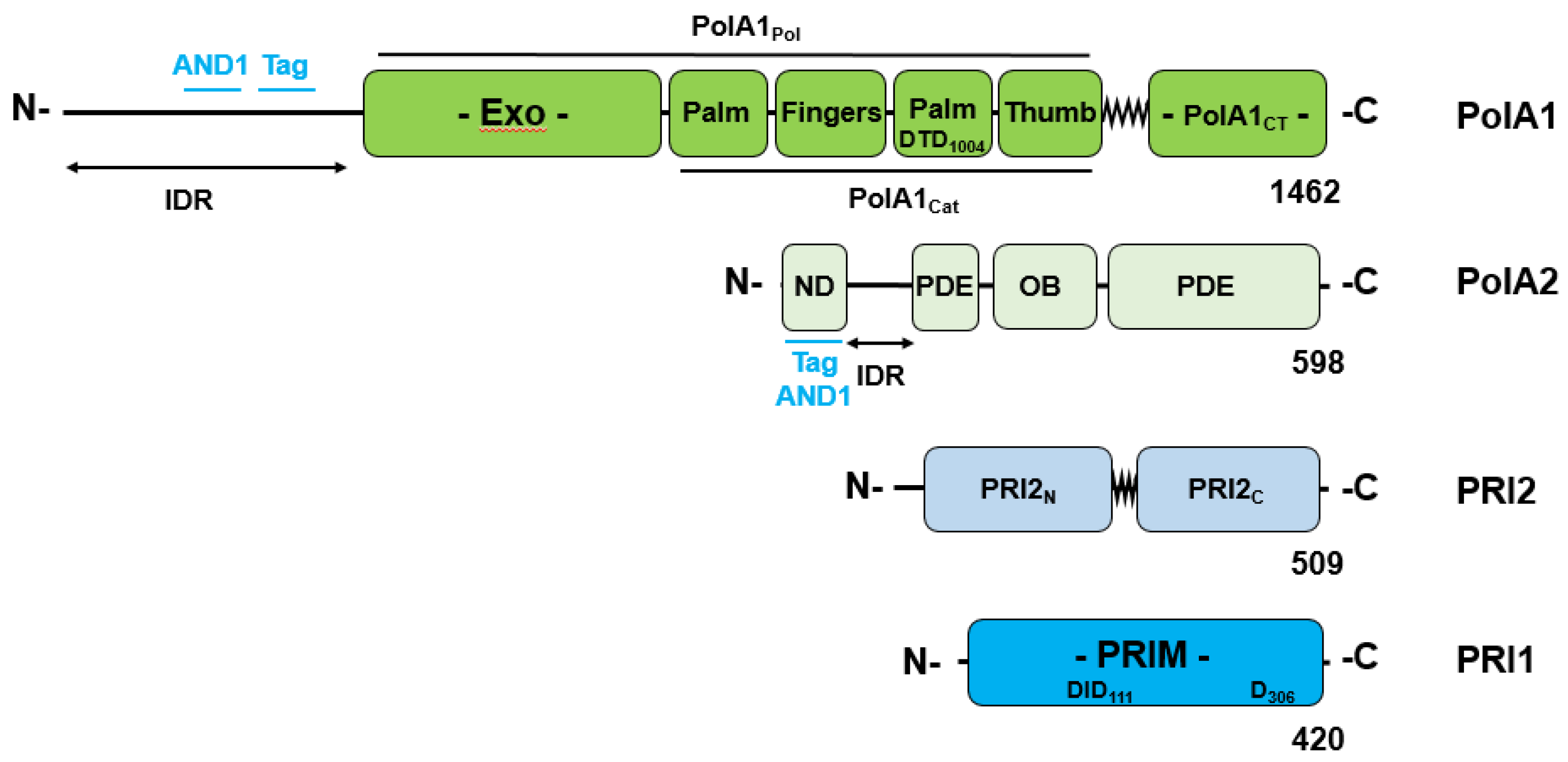 Preprints 70640 g001