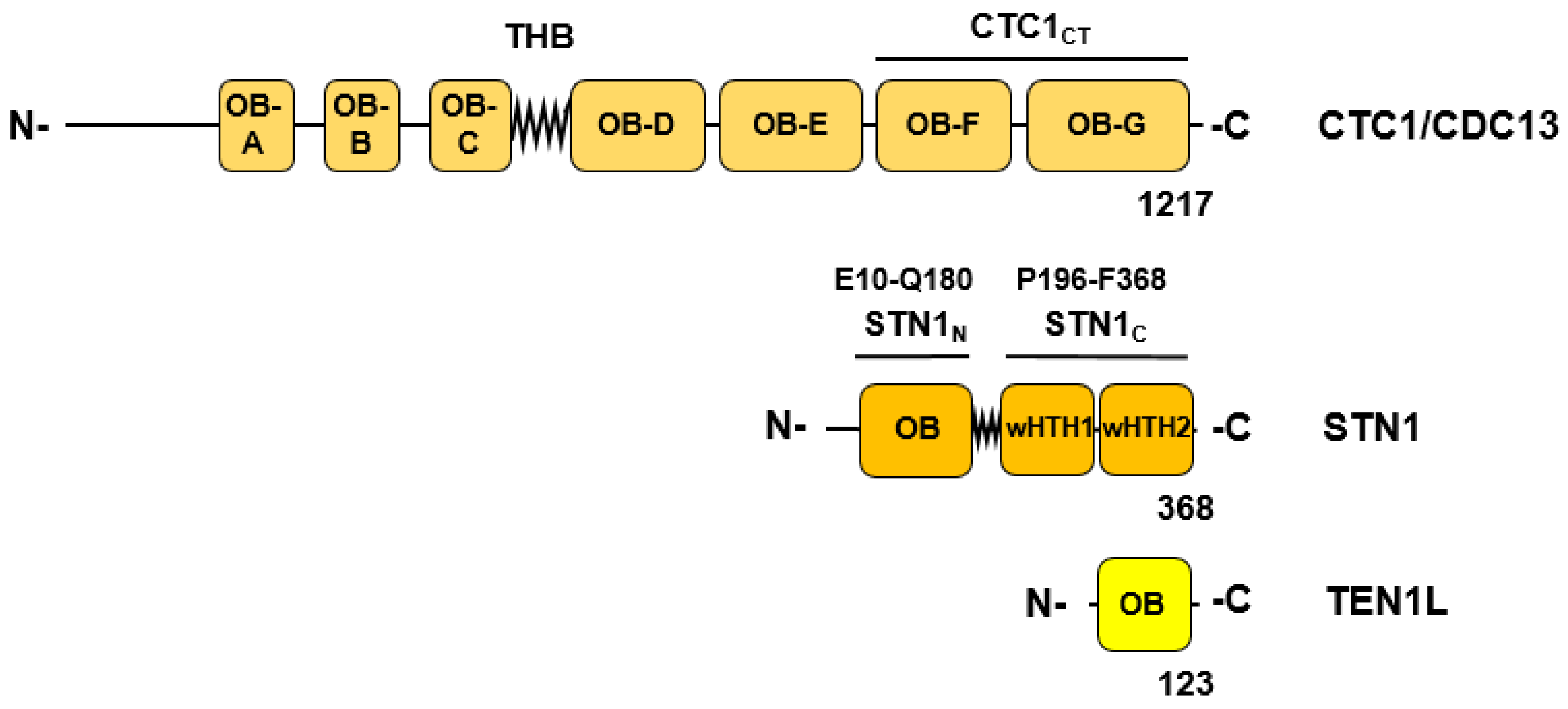 Preprints 70640 g002