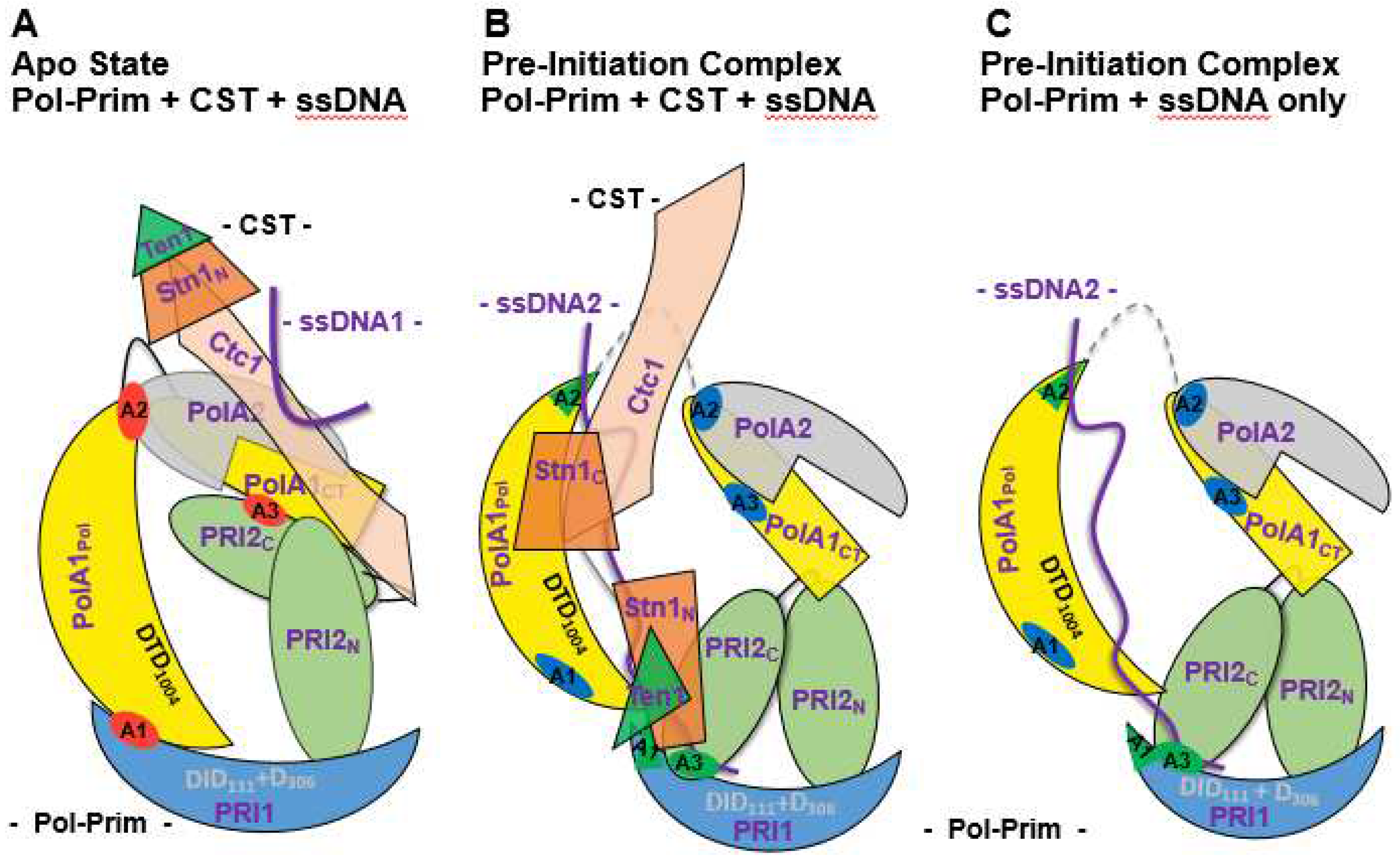 Preprints 70640 g003