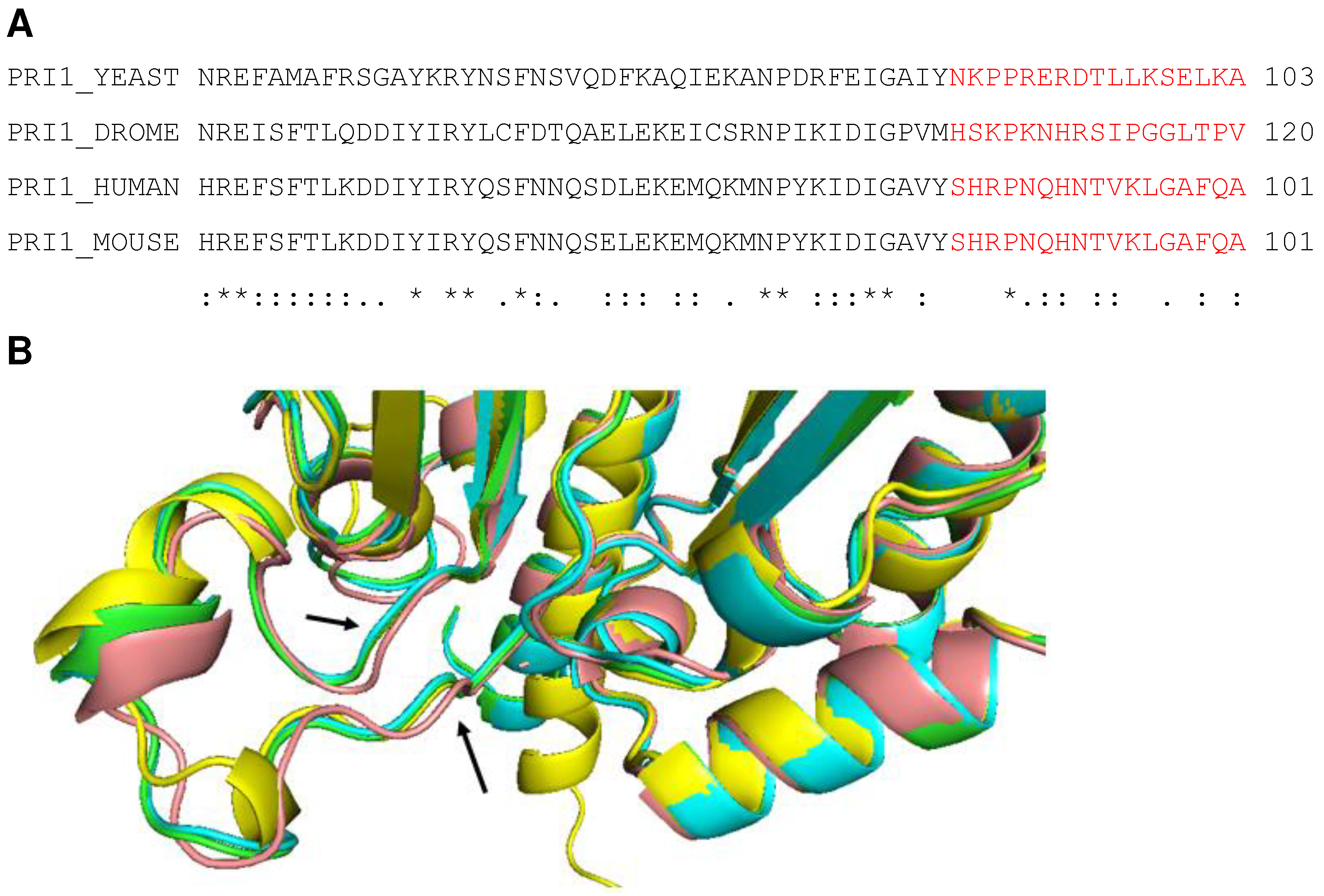 Preprints 70640 g004