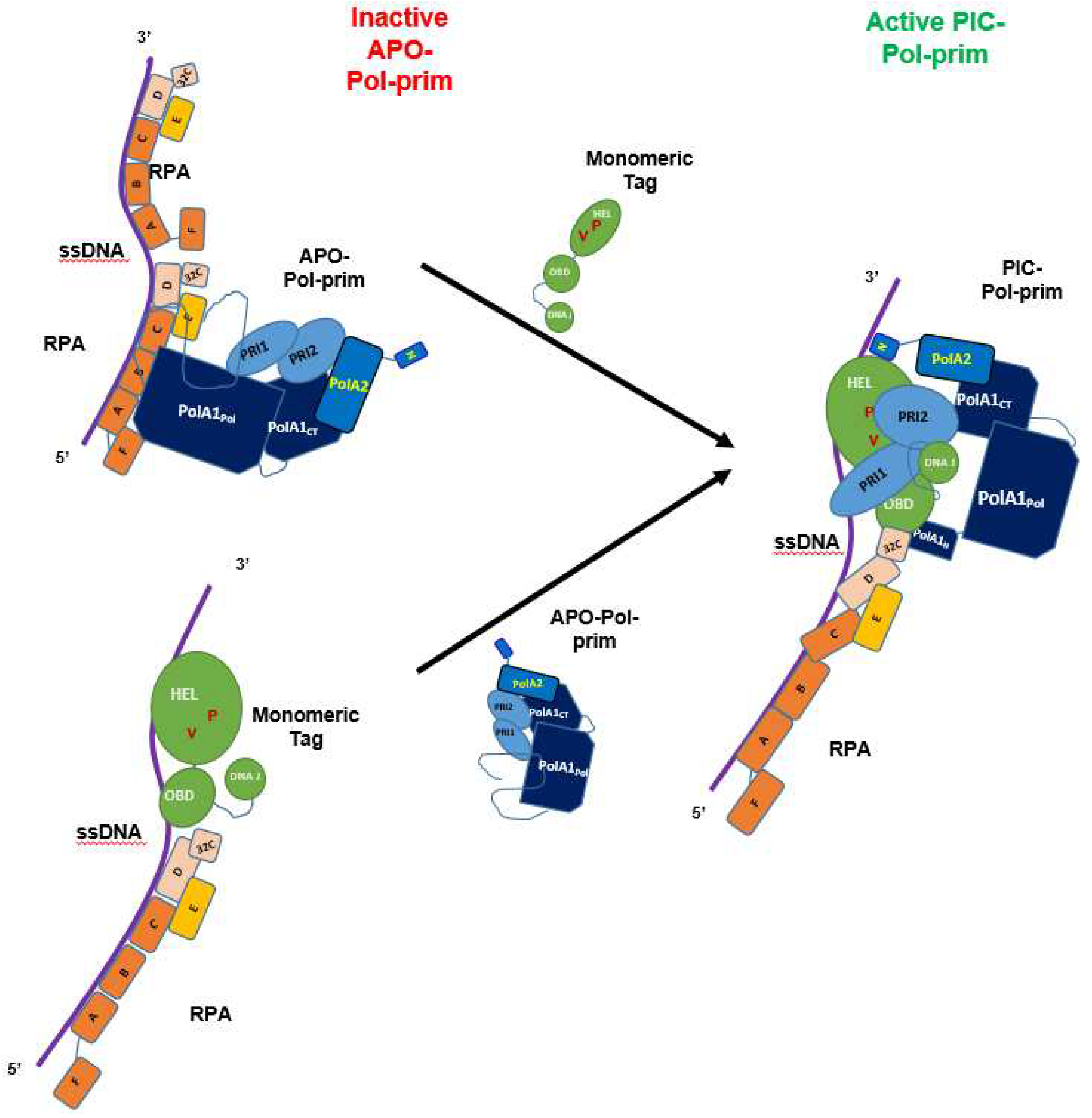 Preprints 70640 g005