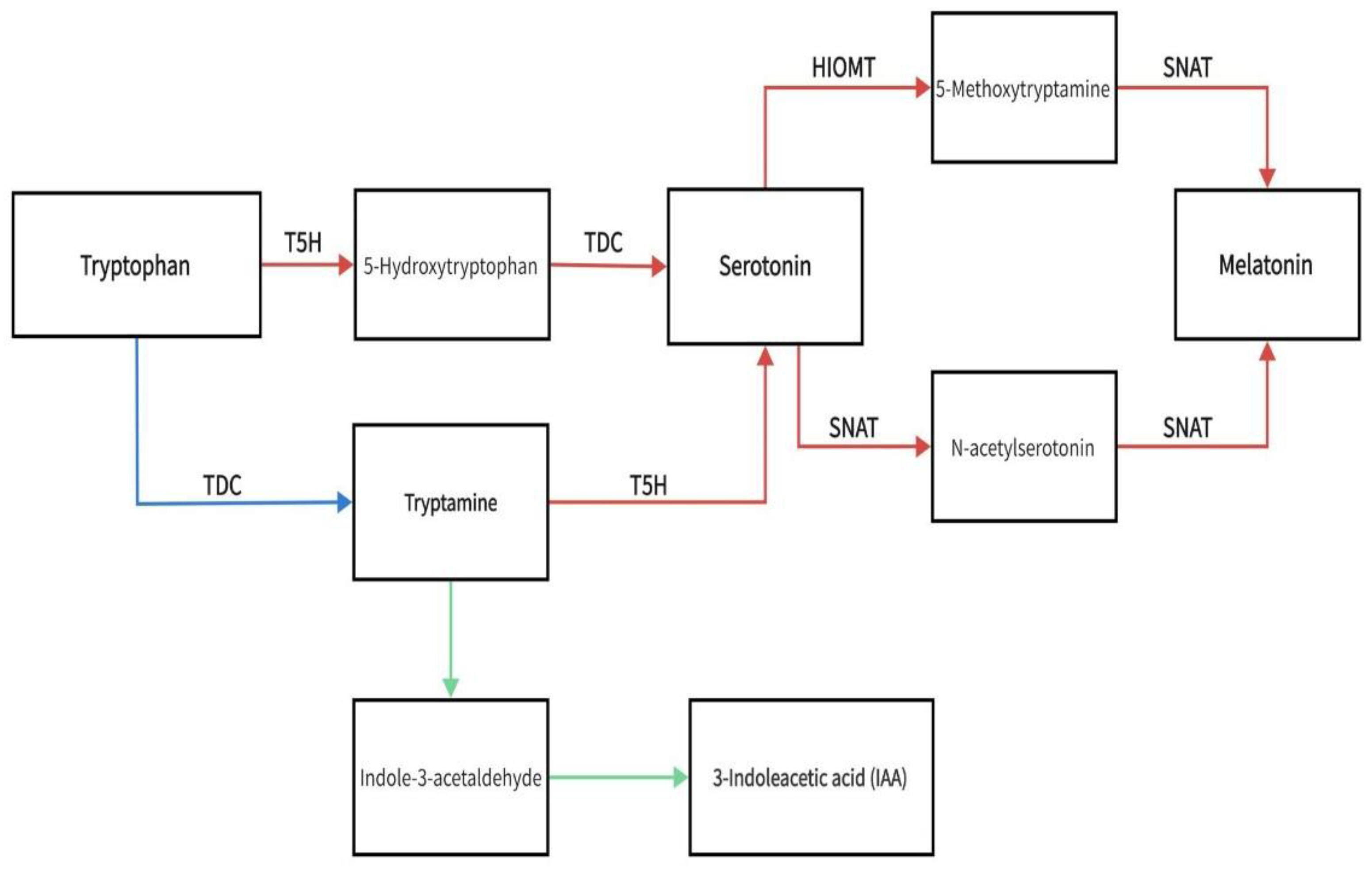 Preprints 108119 g001