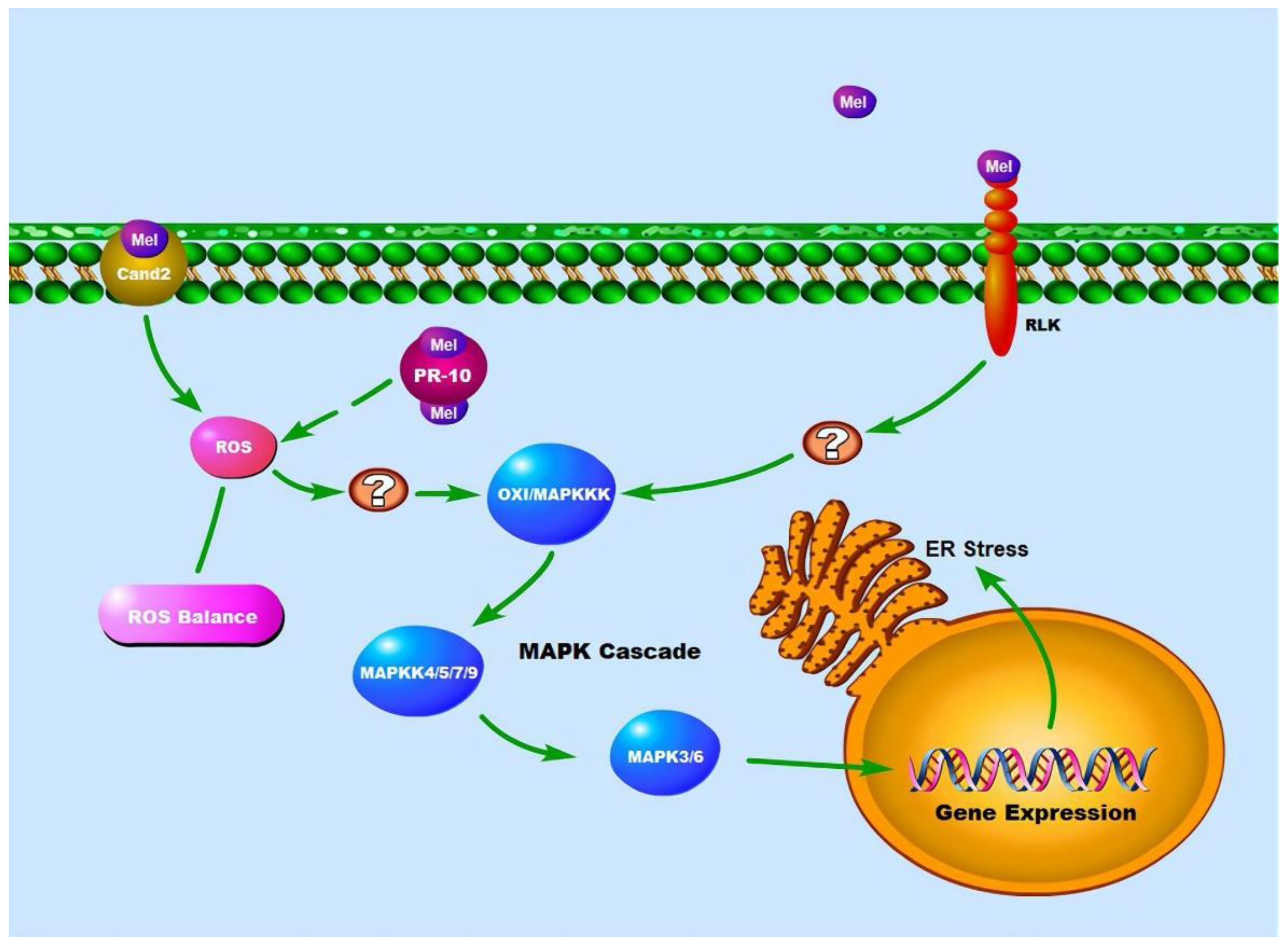 Preprints 108119 g002