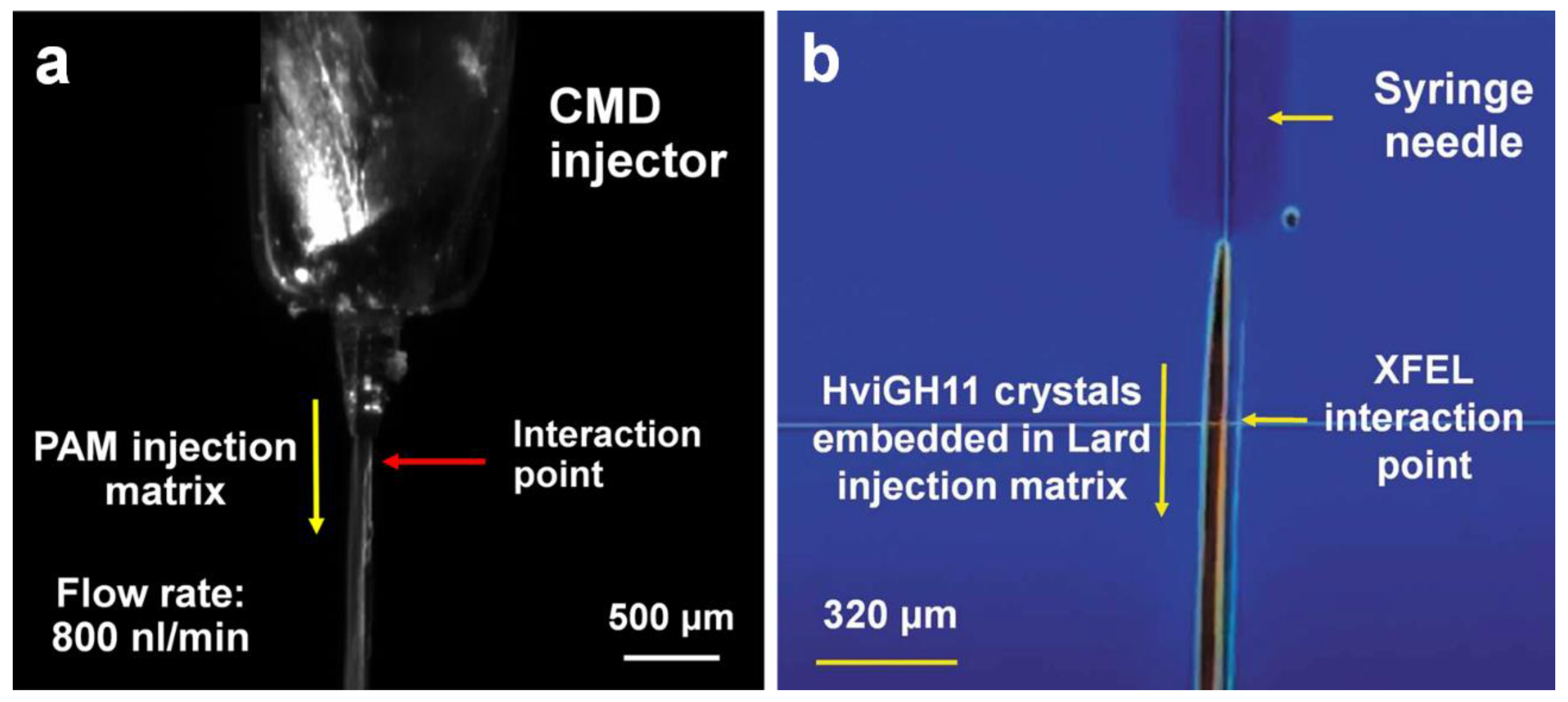 Preprints 71267 g002