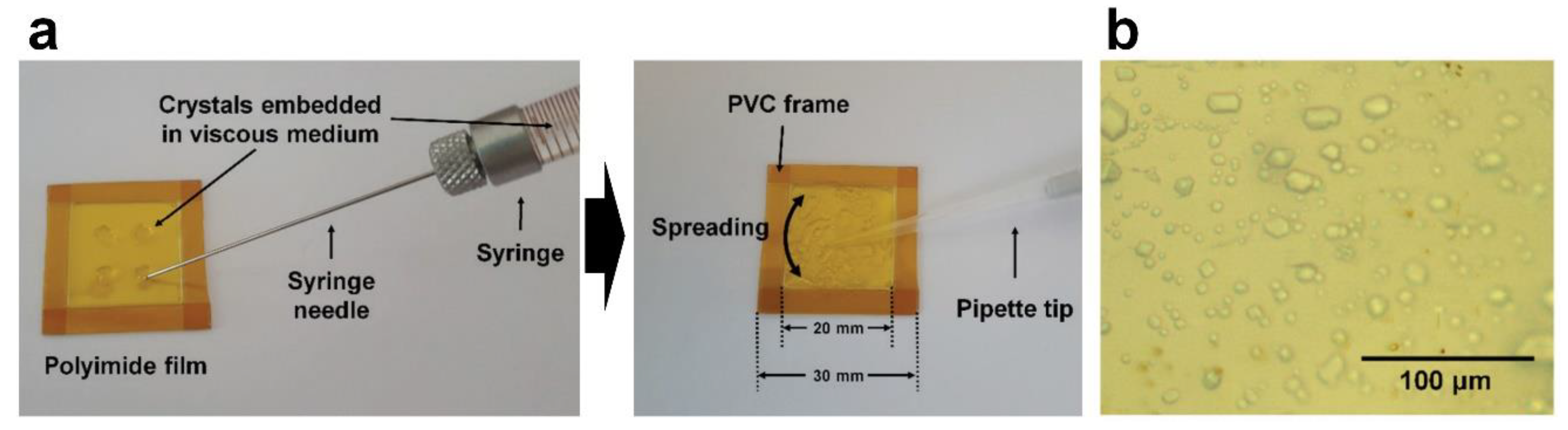 Preprints 71267 g005