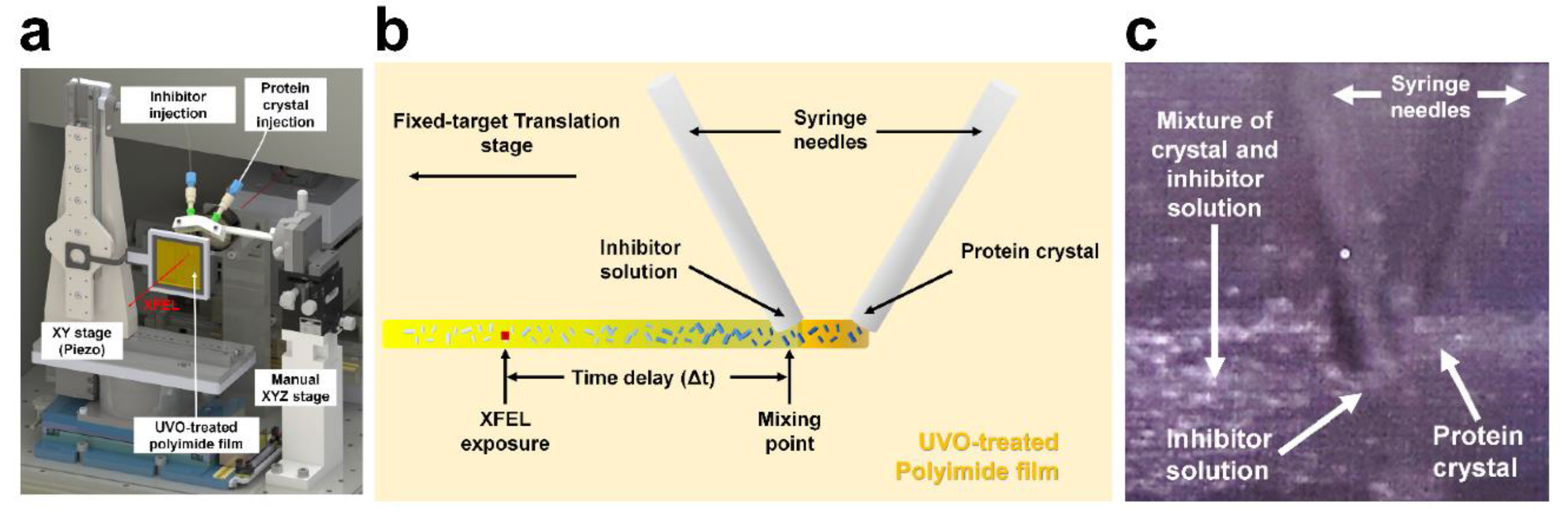 Preprints 71267 g007