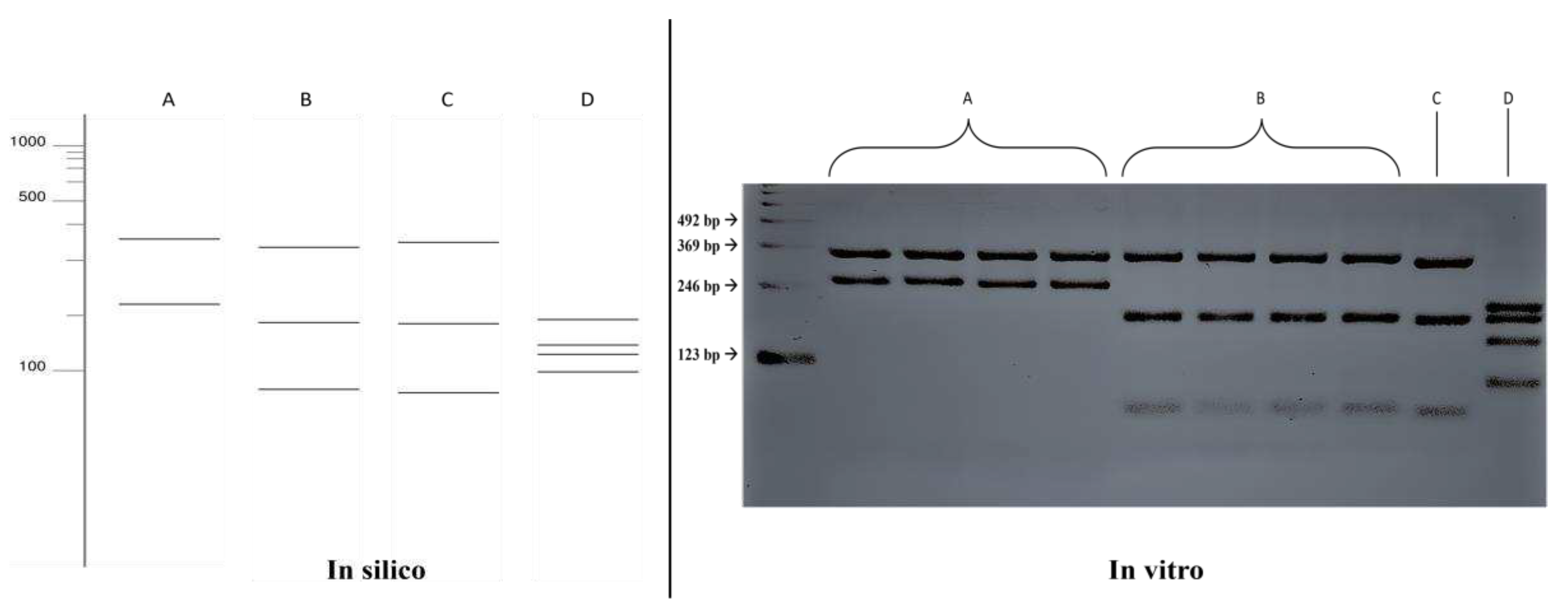 Preprints 94223 g001