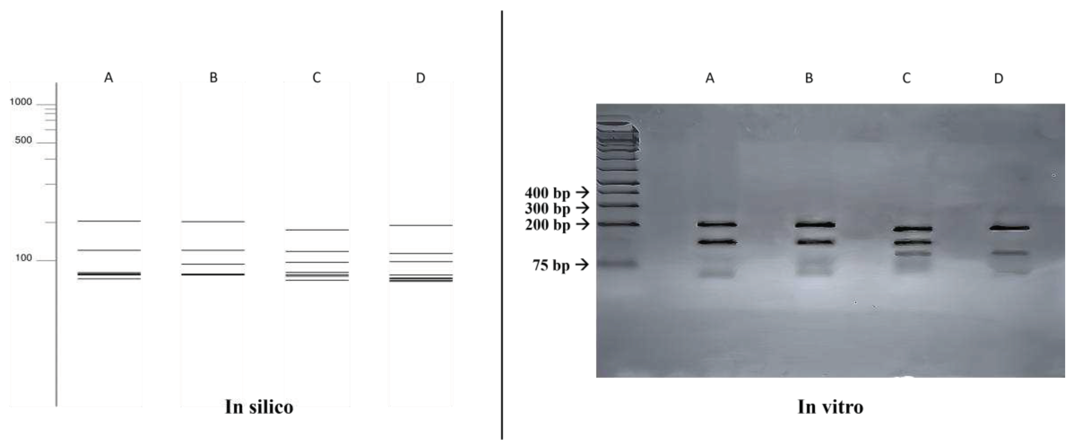 Preprints 94223 g002