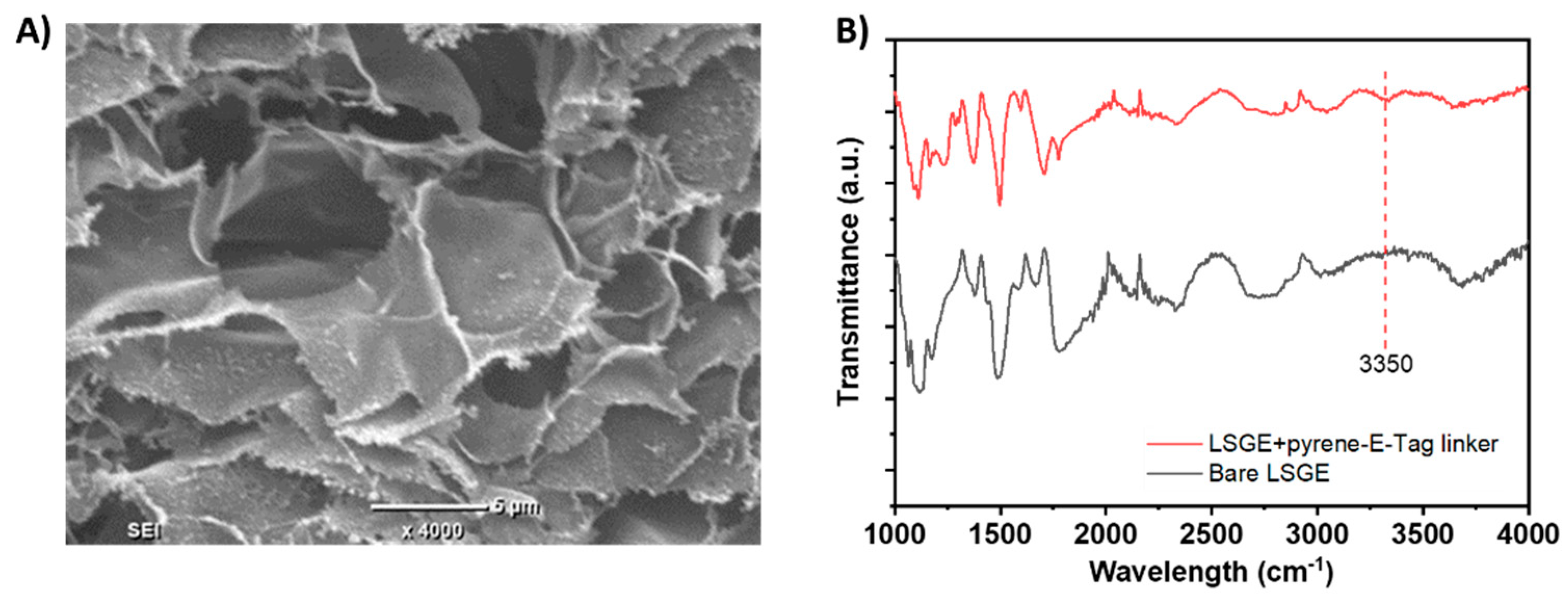 Preprints 91612 g002