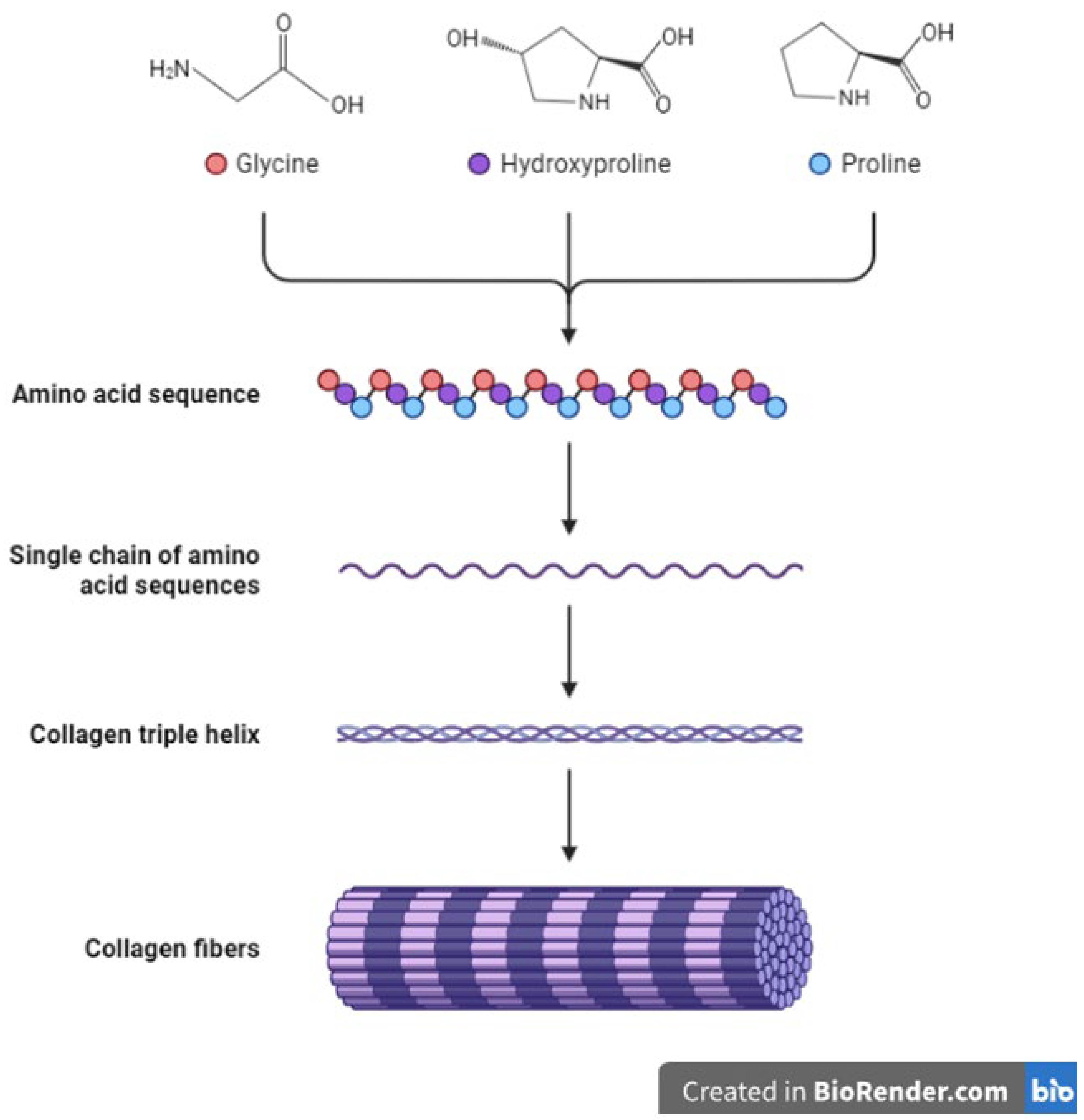 Preprints 67916 g001