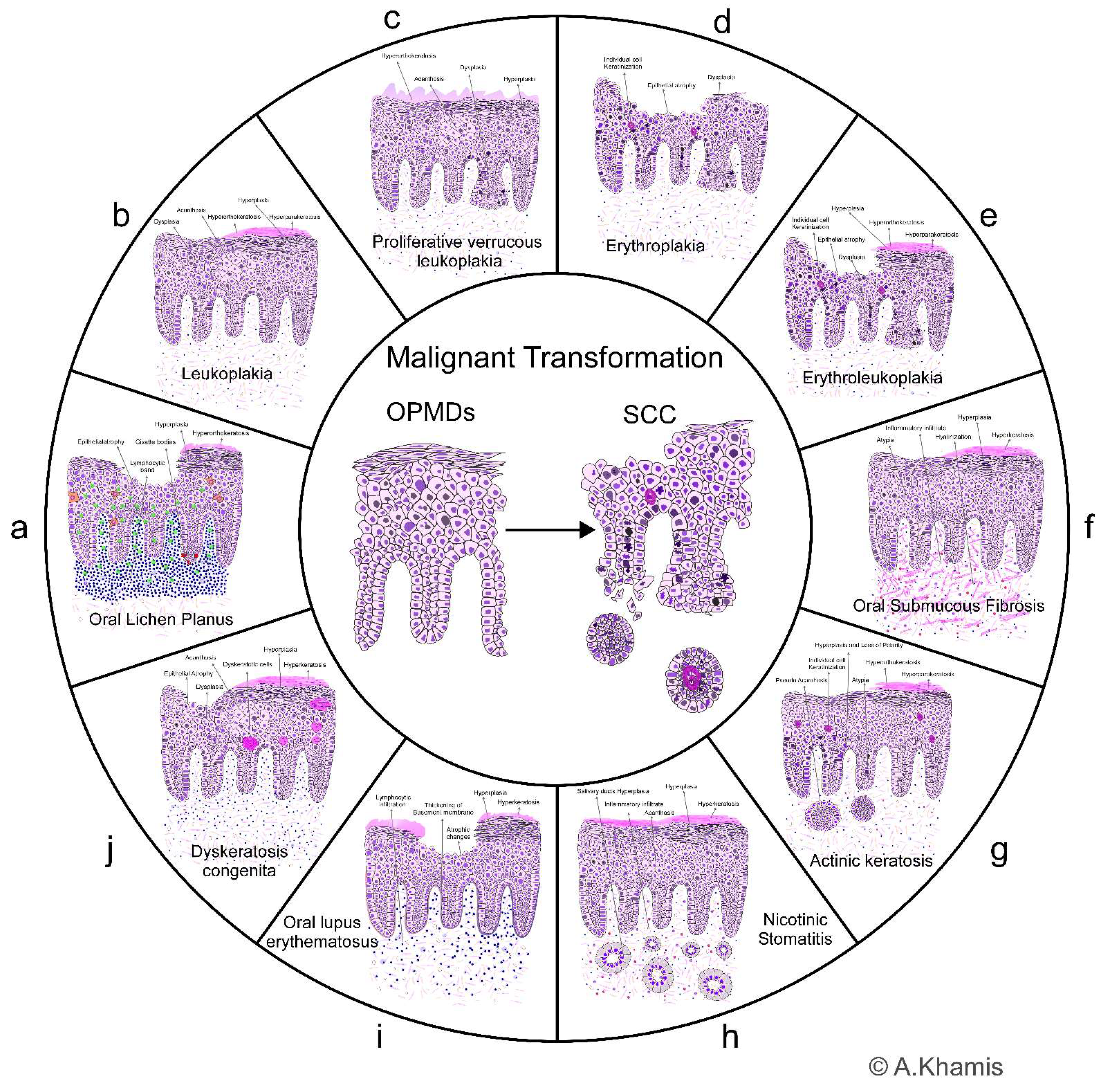 Preprints 84420 g001