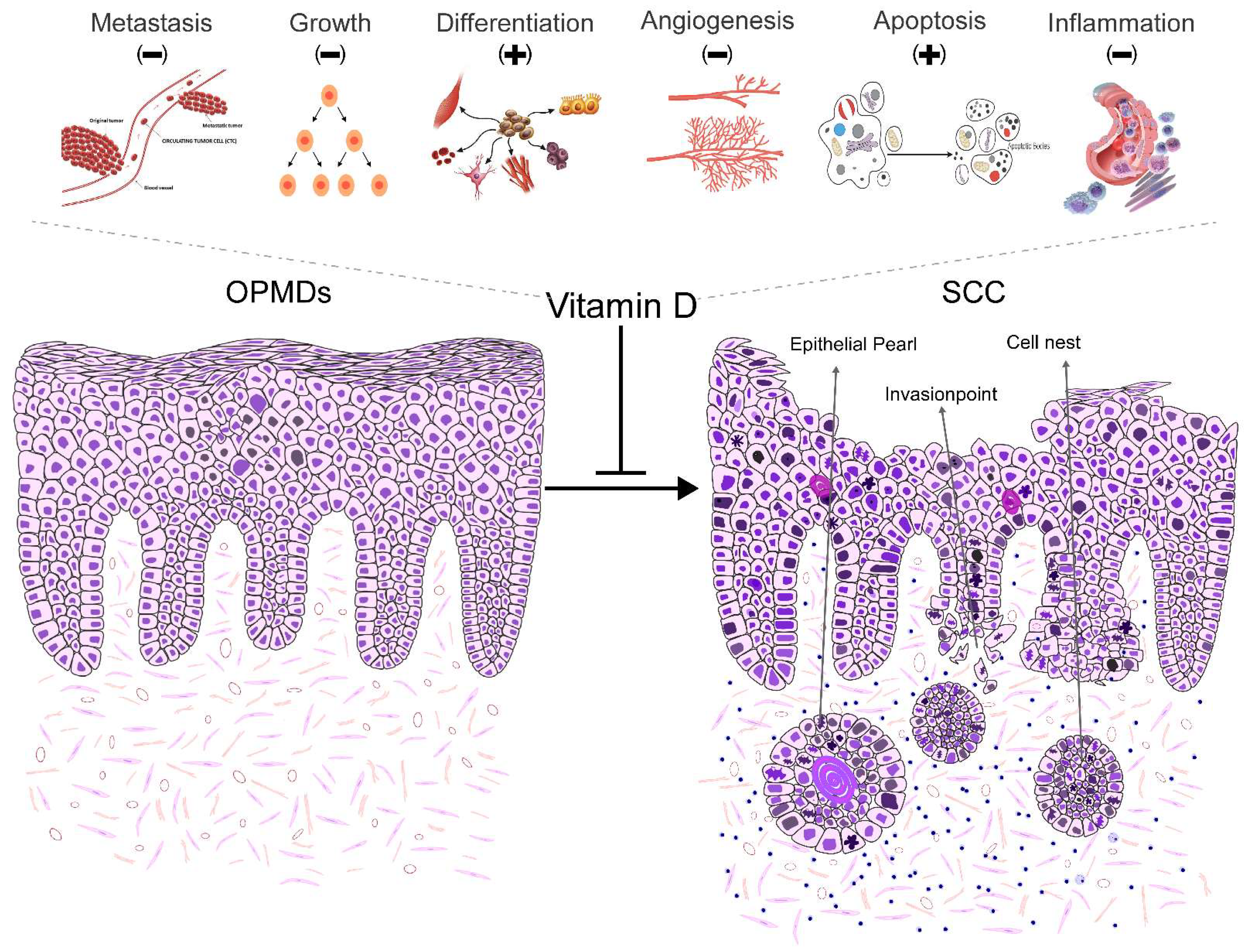 Preprints 84420 g003