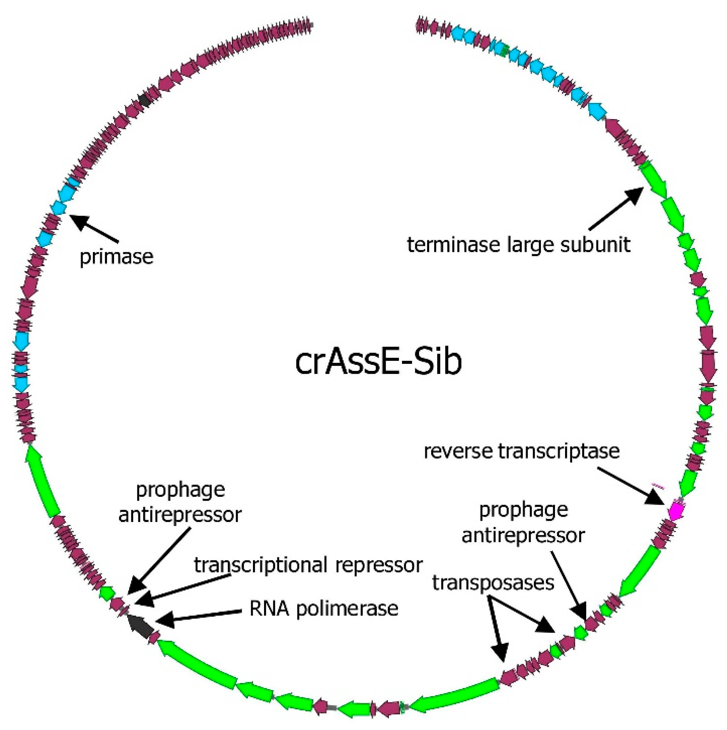 Preprints 92706 g001