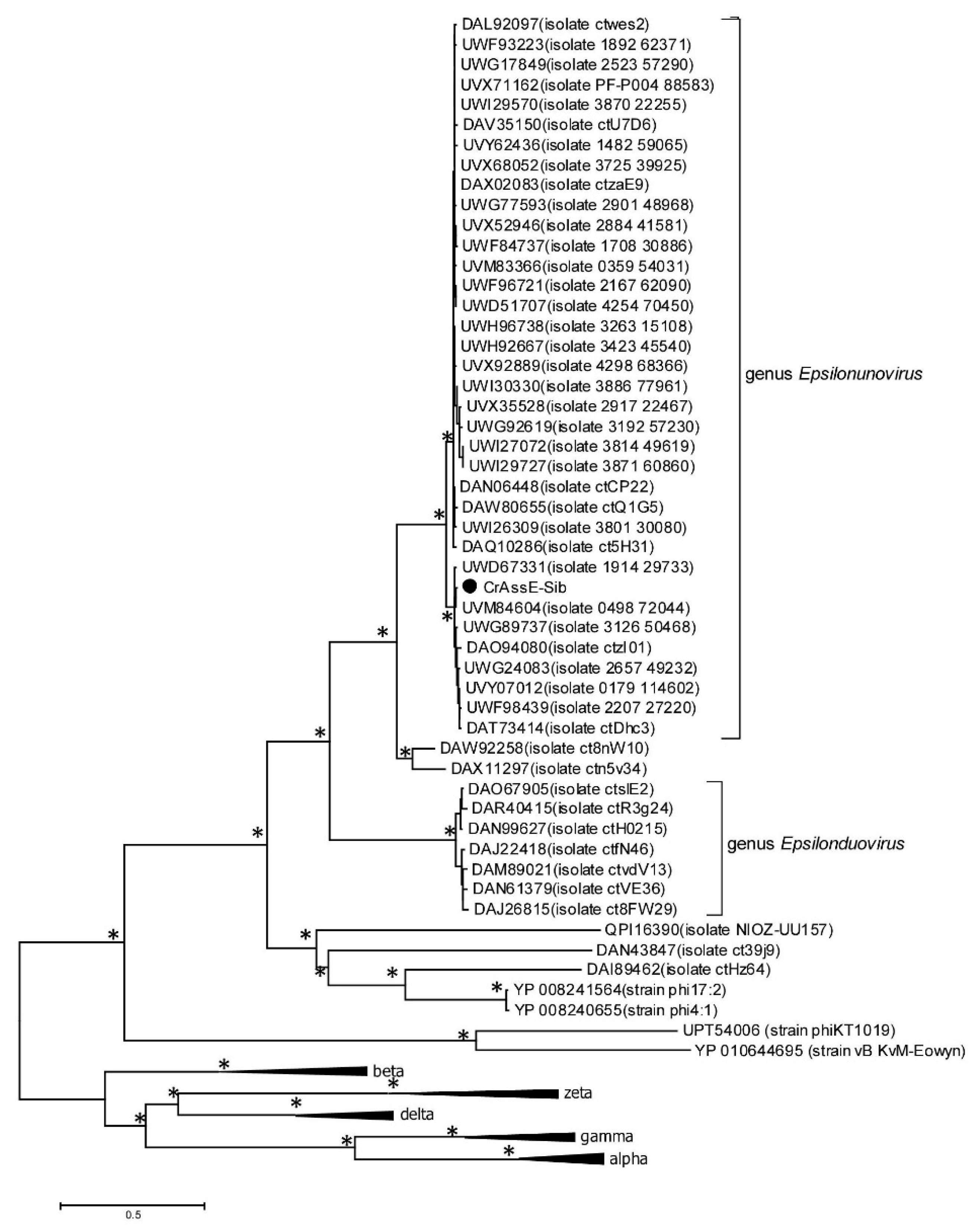 Preprints 92706 g005